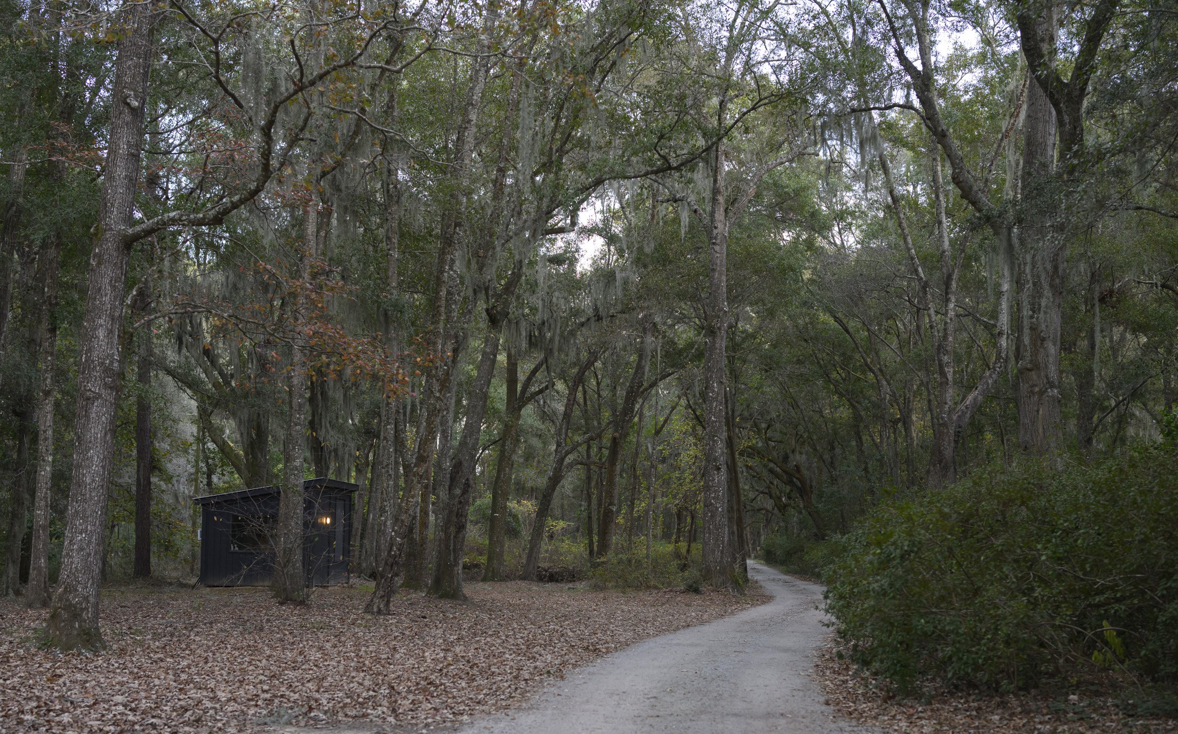 3546 Bohicked Rd_10.jpg