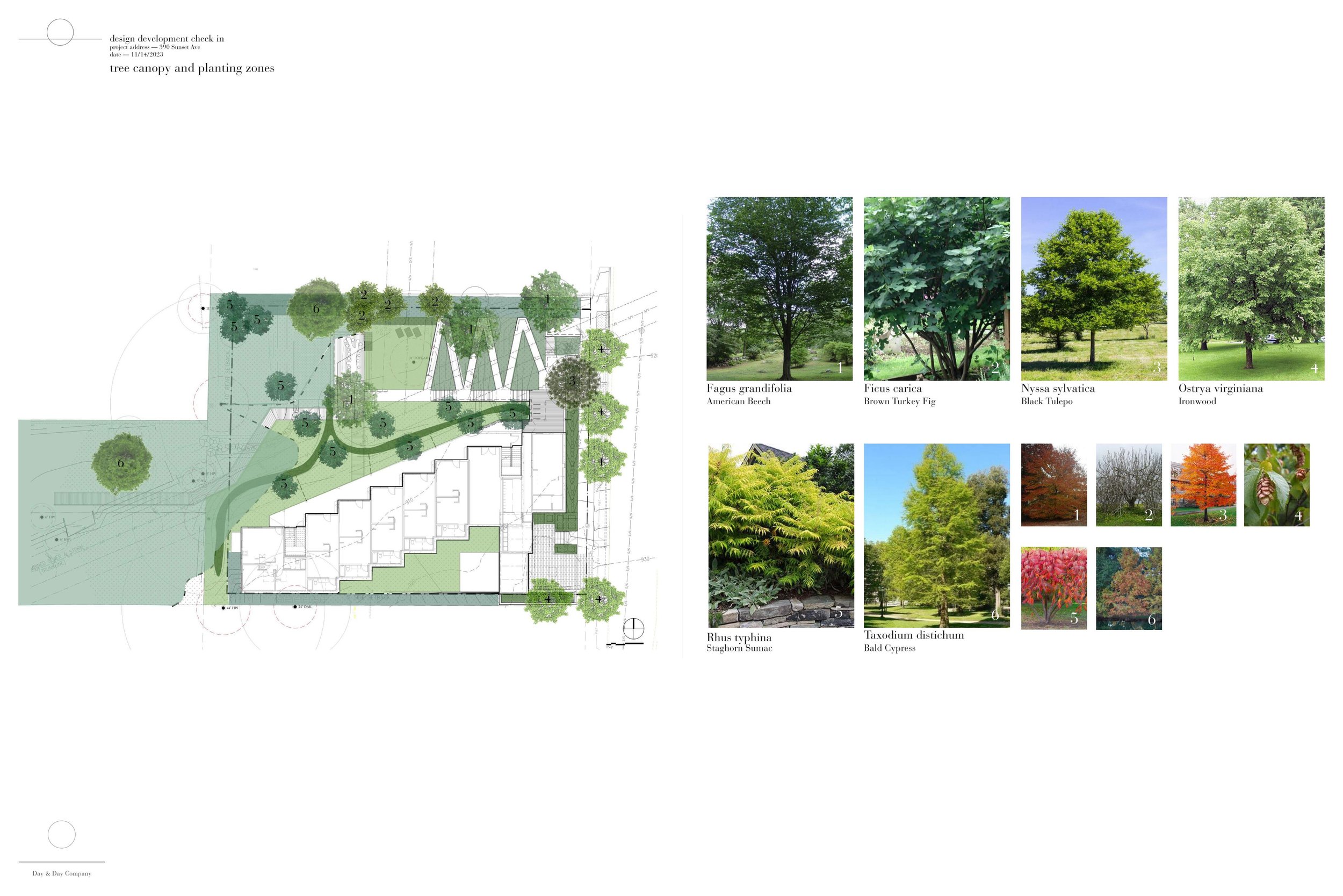 231114_materials- plant palette presentation 24x36_final Page 006.jpg