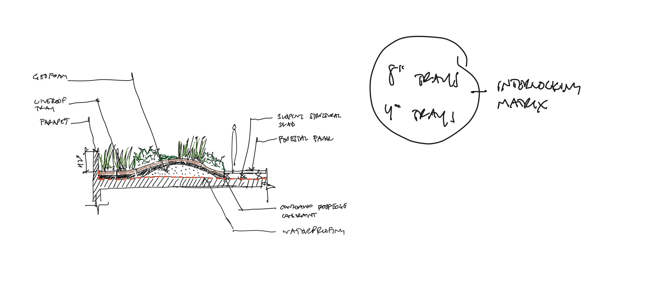 410 Markham Street - Frame 1_concept section.jpg