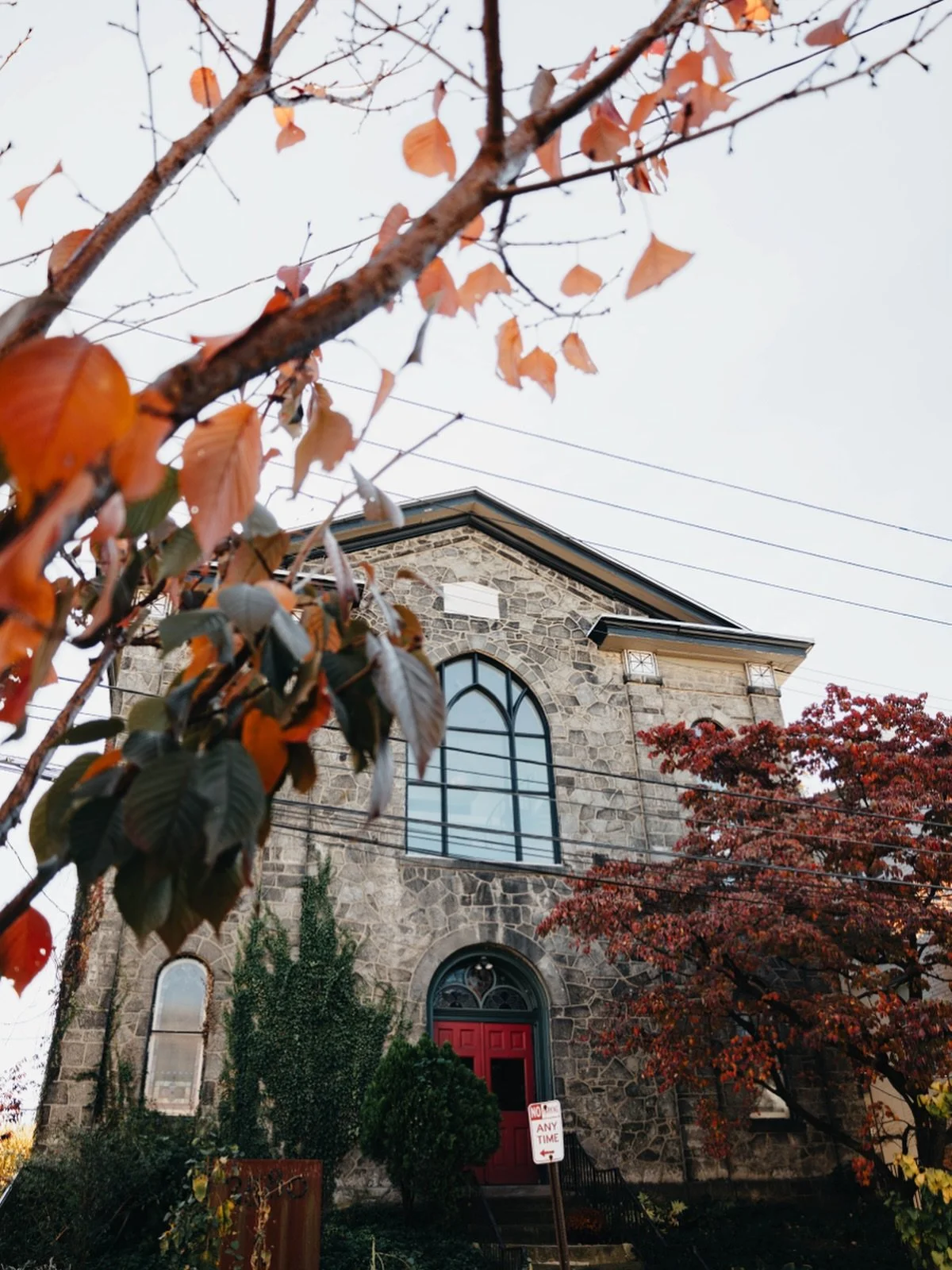 Welcoming the season of change. The leaves in front of 3580 IQL always put on a beautiful display! 

#3580IQL #thriveat3580iql #eastfallsphilly #fallinphilly