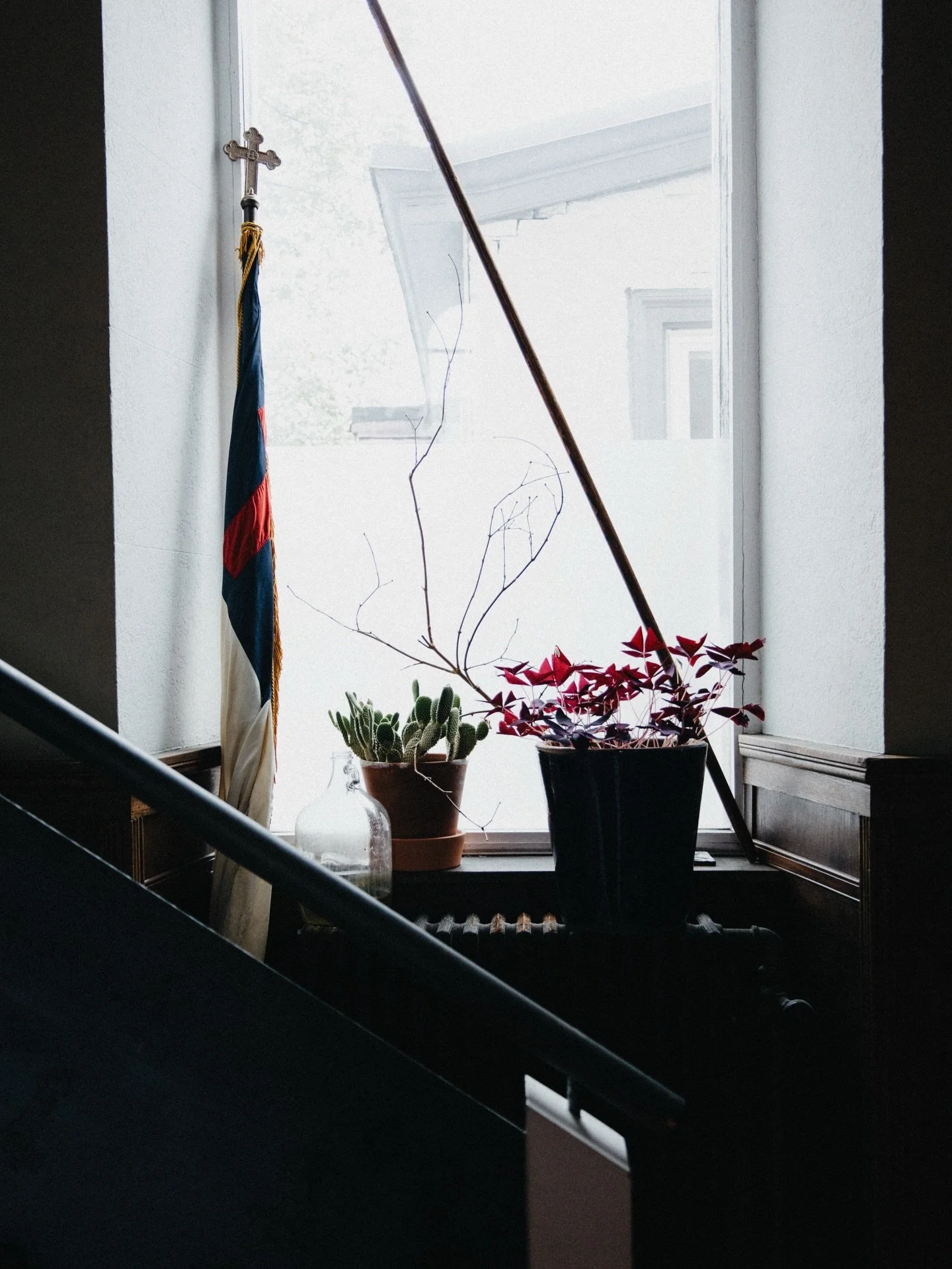 Plant life at 3580 IQL. 

#3580iql #eastfallsphilly