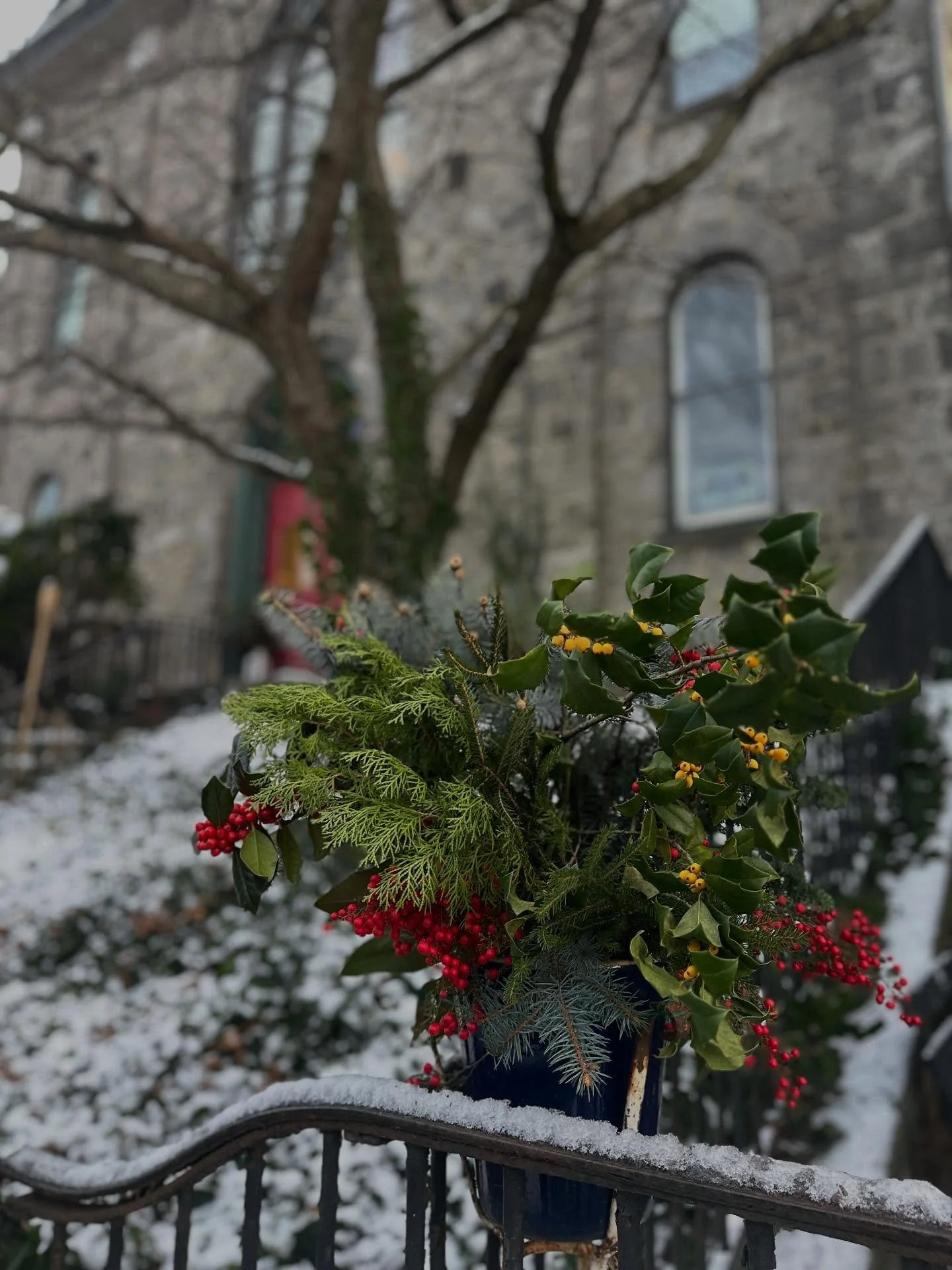 It&rsquo;s getting festive around here!!