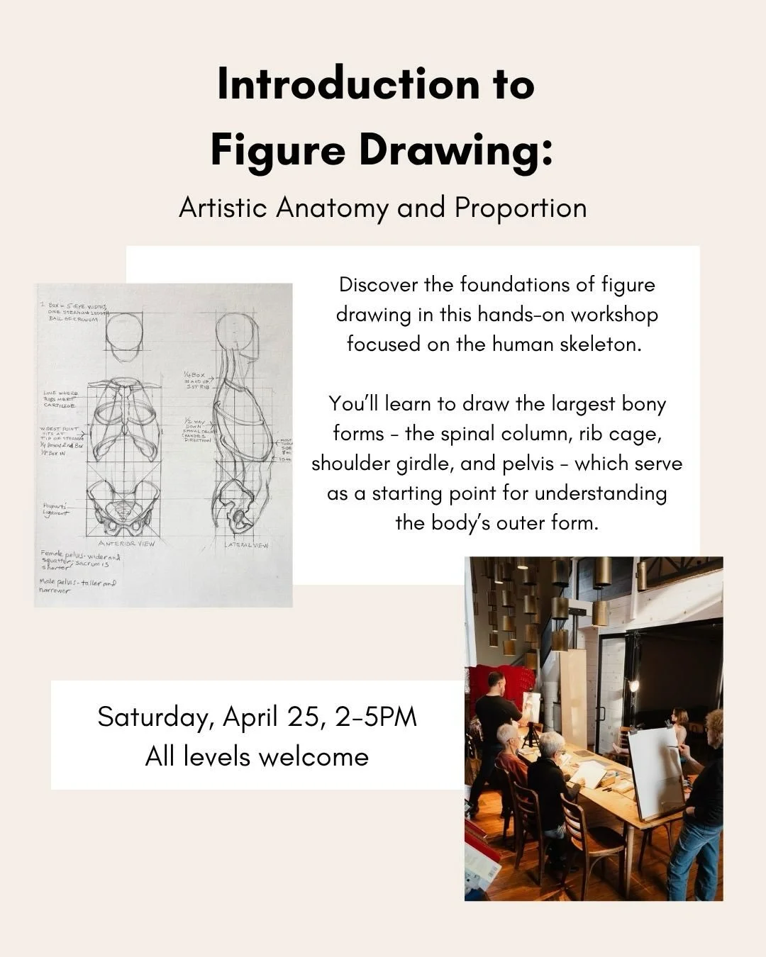 A focused, hands-on figure drawing workshop exploring the vertebral skeleton - spine, rib cage, shoulder girdle, and pelvis - as the foundation of the human form. Through drawing bones and a live model, we&rsquo;ll study proportion, structure, and ho