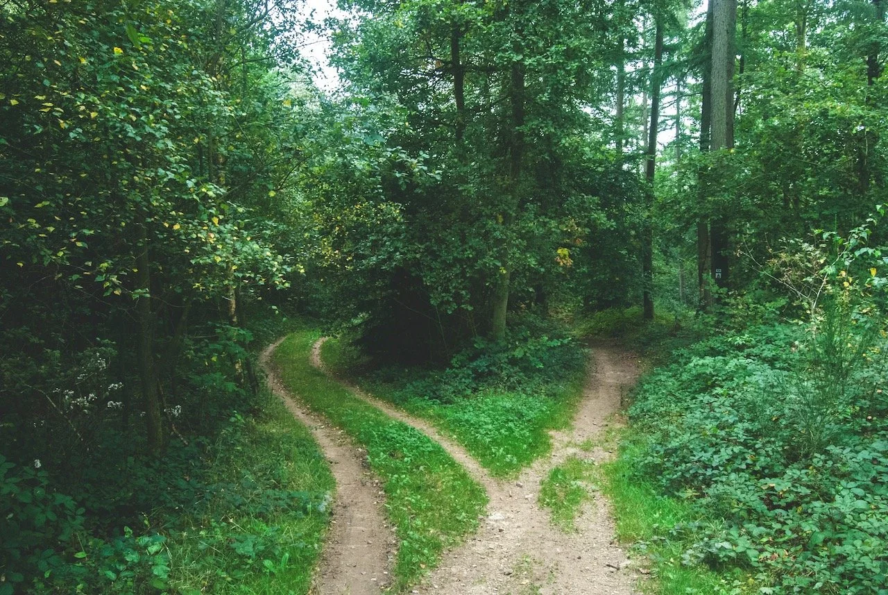 From Fear to Adventure: How Walking the Road Less Travelled Changed My Life