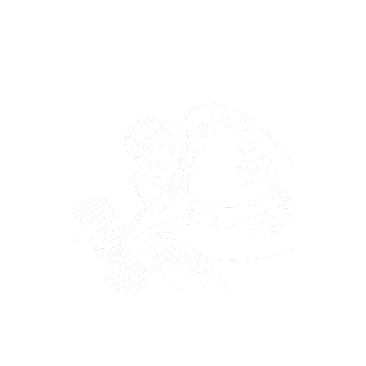 Harris Institute for Rehabilitative Therapies