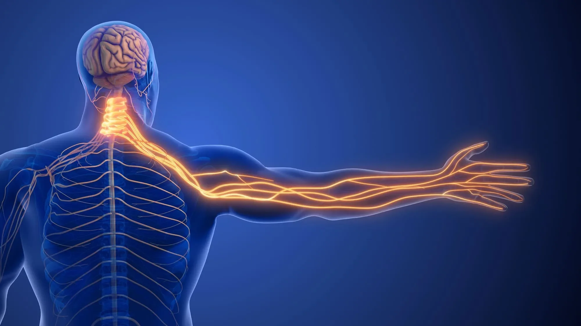 Nerve Pain Explained