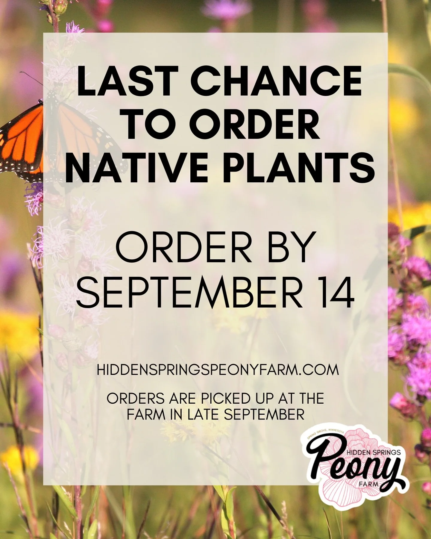 Last chance to order native plants!

hiddenspringspeonyfarm.com/shop-native-plants