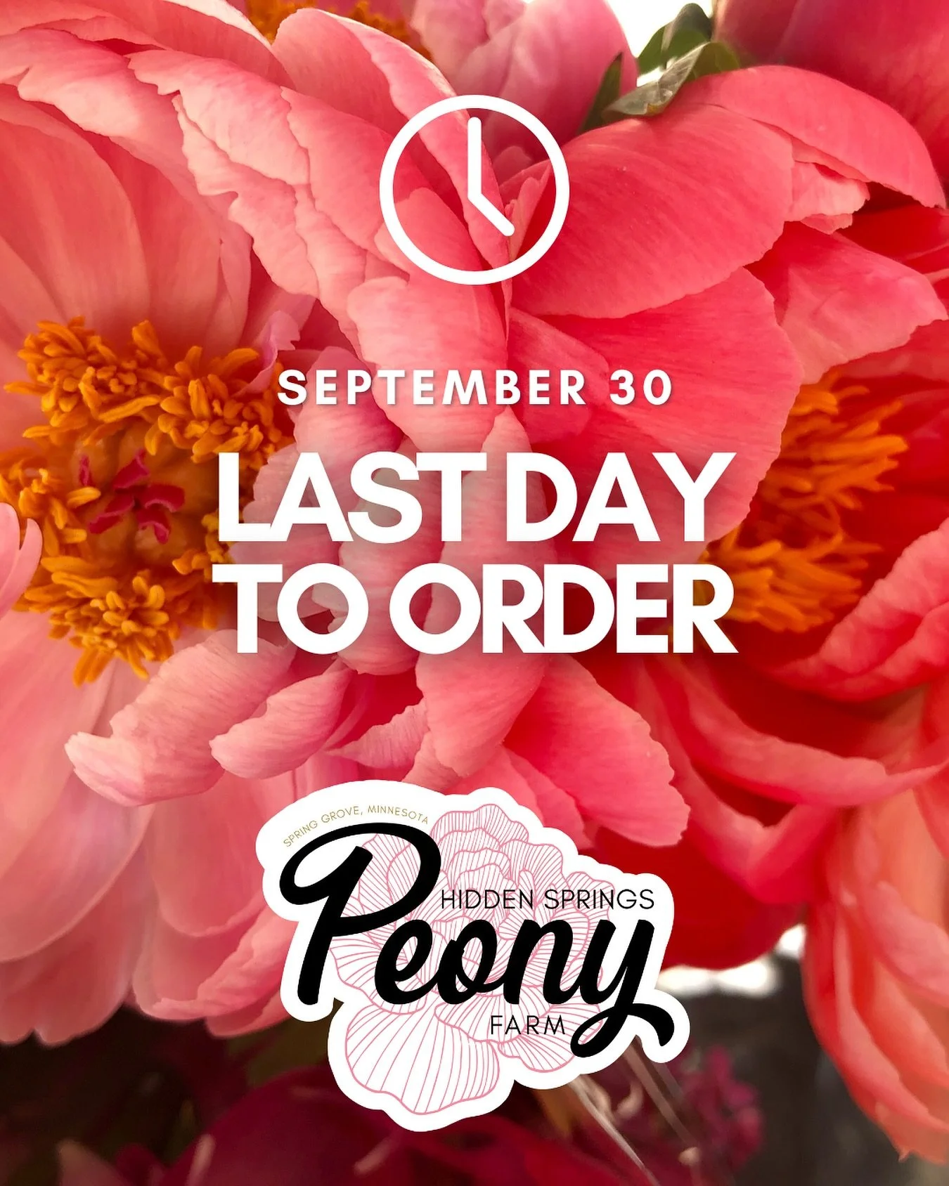 Order soon or the bare root peony season will pass by for another year!

We will be having our post harvest sale again in the middle of October after all orders are shipped out but many varieties will not be offered and will be potted up for next spr