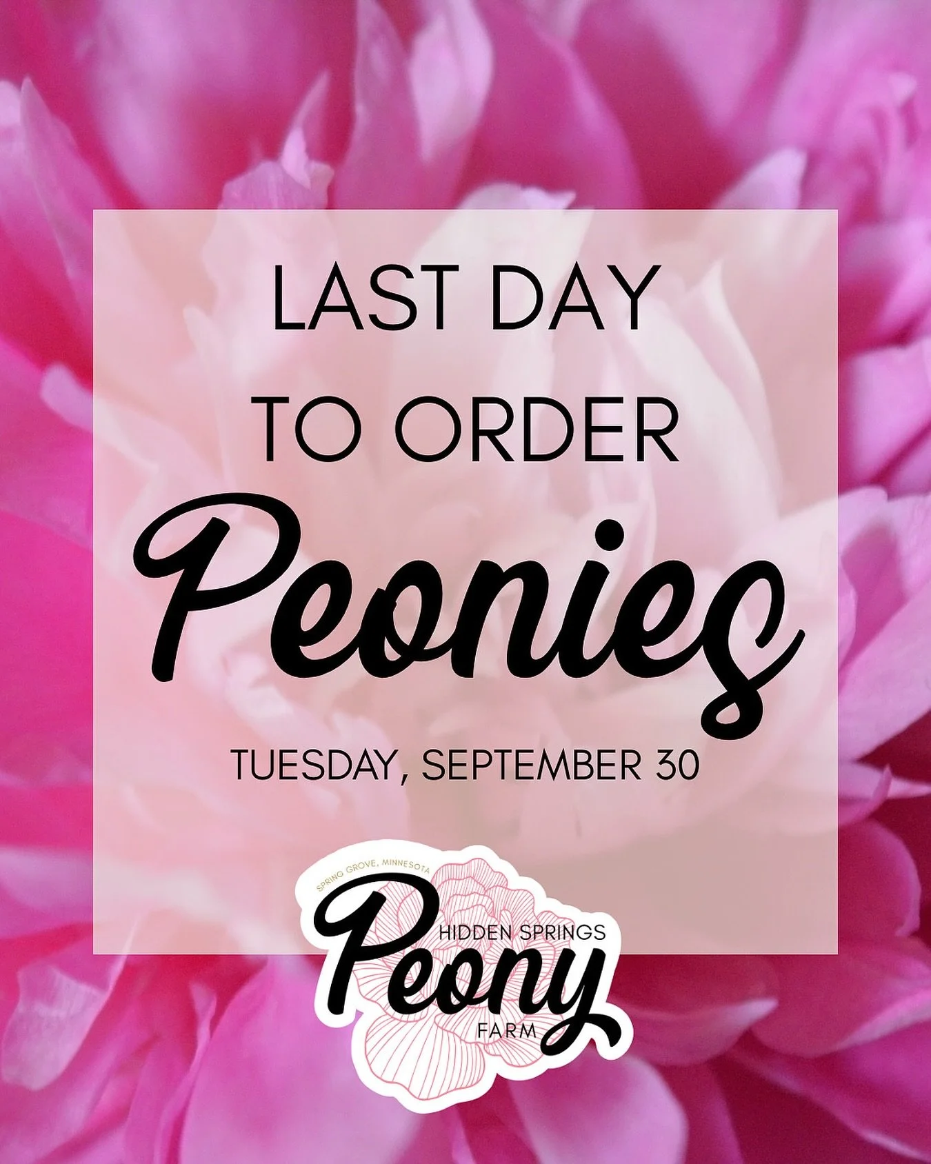 Shop at hiddenspringspeonyfarm.com/shop-peonies-online

When all orders are shipped we will have our post-harvest sale. Stay tuned!