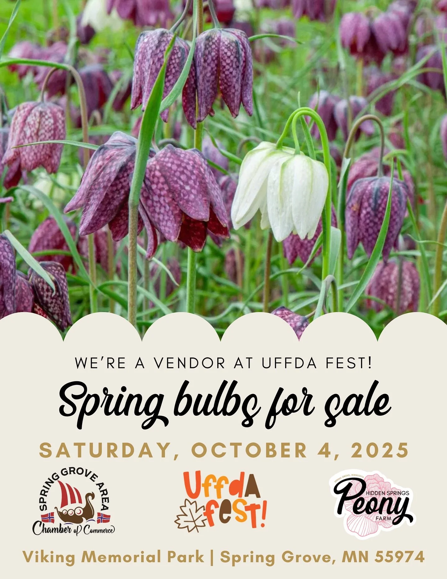 Stop by Spring Grove this weekend to pick up your spring bulbs and have a great time at Uffda Fest!

Swipe for an events schedule or check it out at UffdaFest.com.