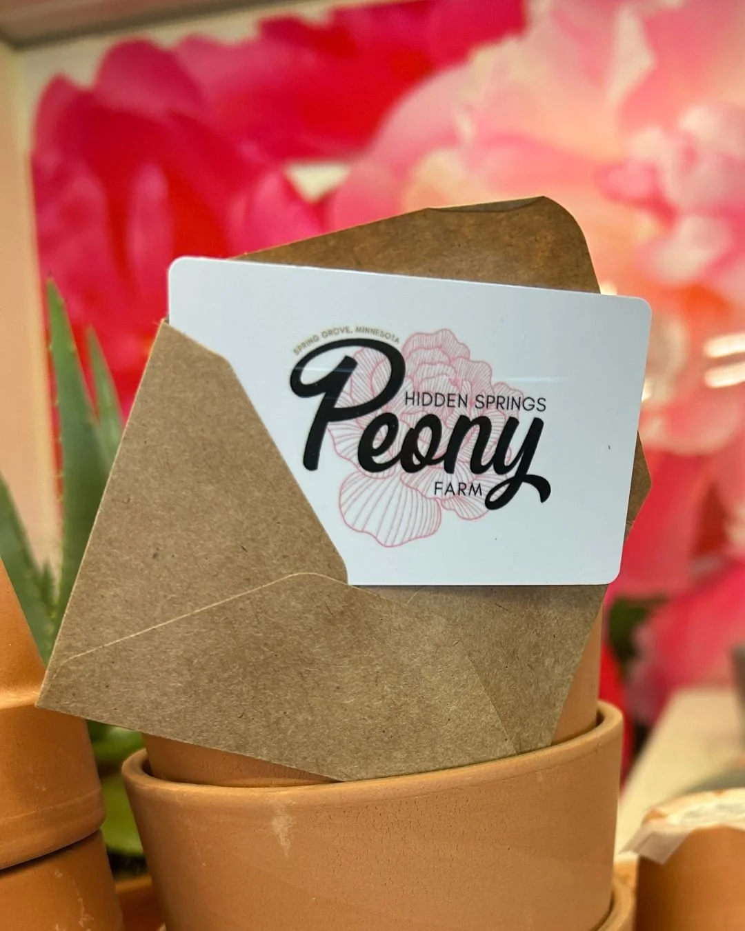 Still need a gift? How about peonies!