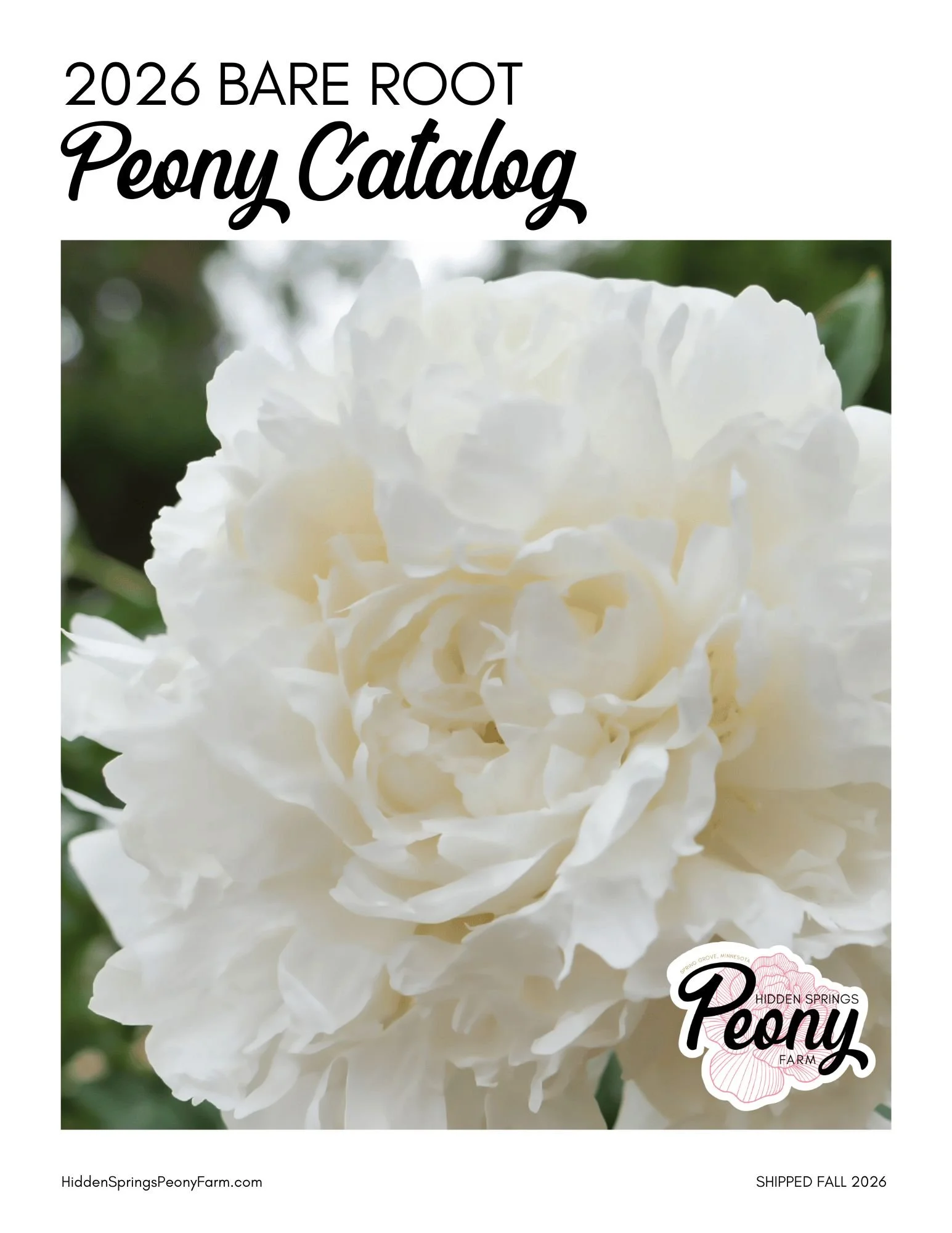 New Year, New Peonies!