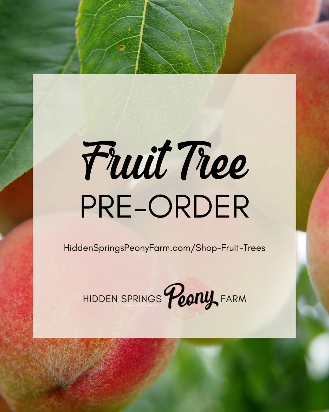It&rsquo;s time to order fruit trees for spring planting!

If you don&rsquo;t see the variety or fruit you are looking for we will likely be able to source that for you. Please ask!