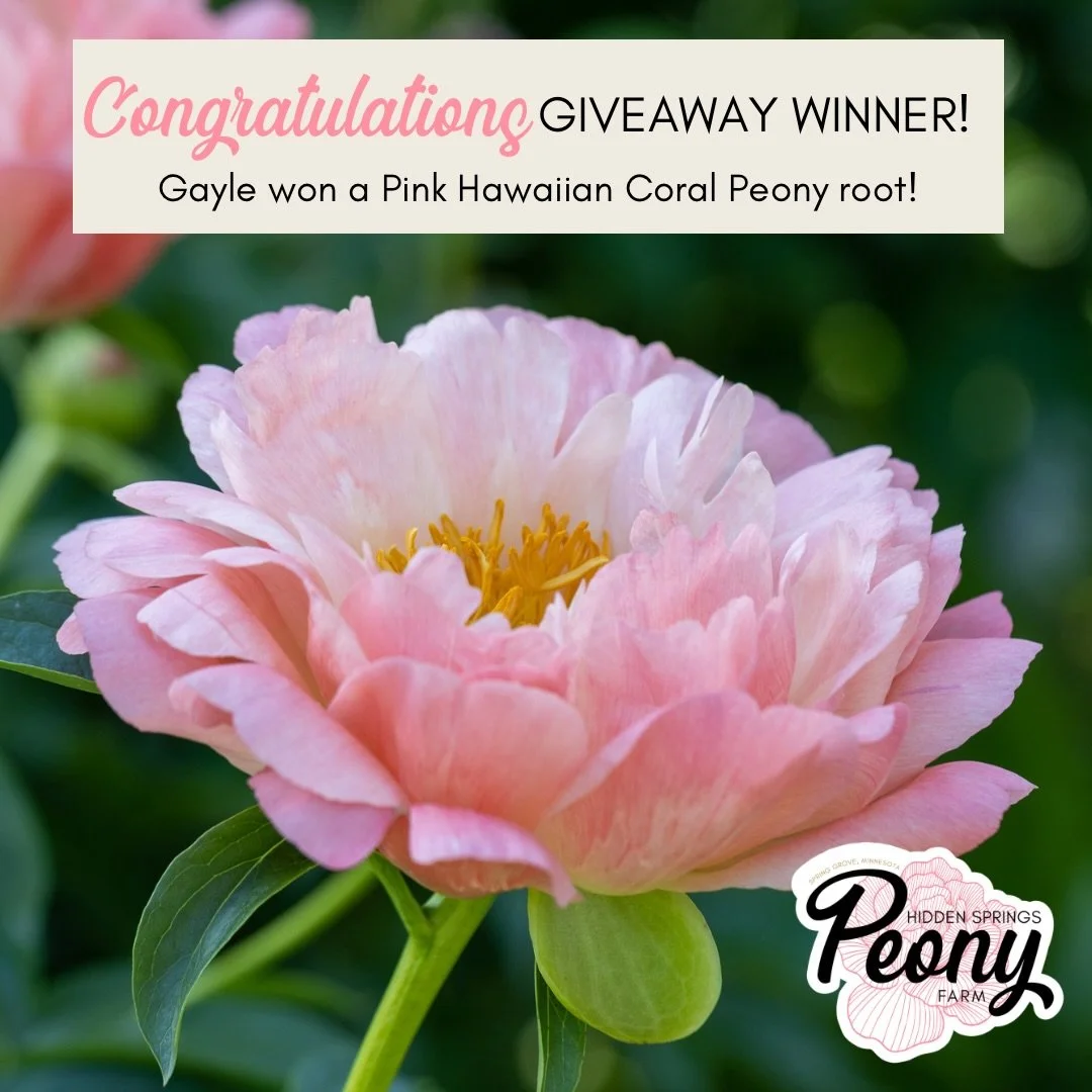 Congratulations Gayle! She won a Pink Hawaiian Coral peony root just for signing up.