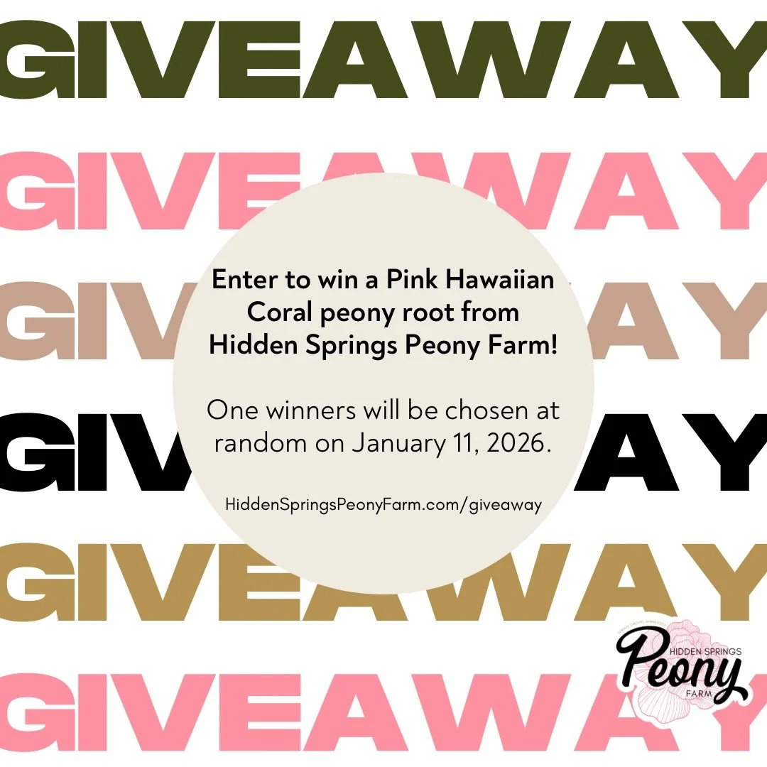 We are excited for a giveaway highlighting on of our award-winning peony varieties!

One lucky winner will receive a Pink Hawaiian Coral peony root!

Enter at hiddenspringspeonyfarm.com/giveaway on or before January 10, 2026

Random winner will be no