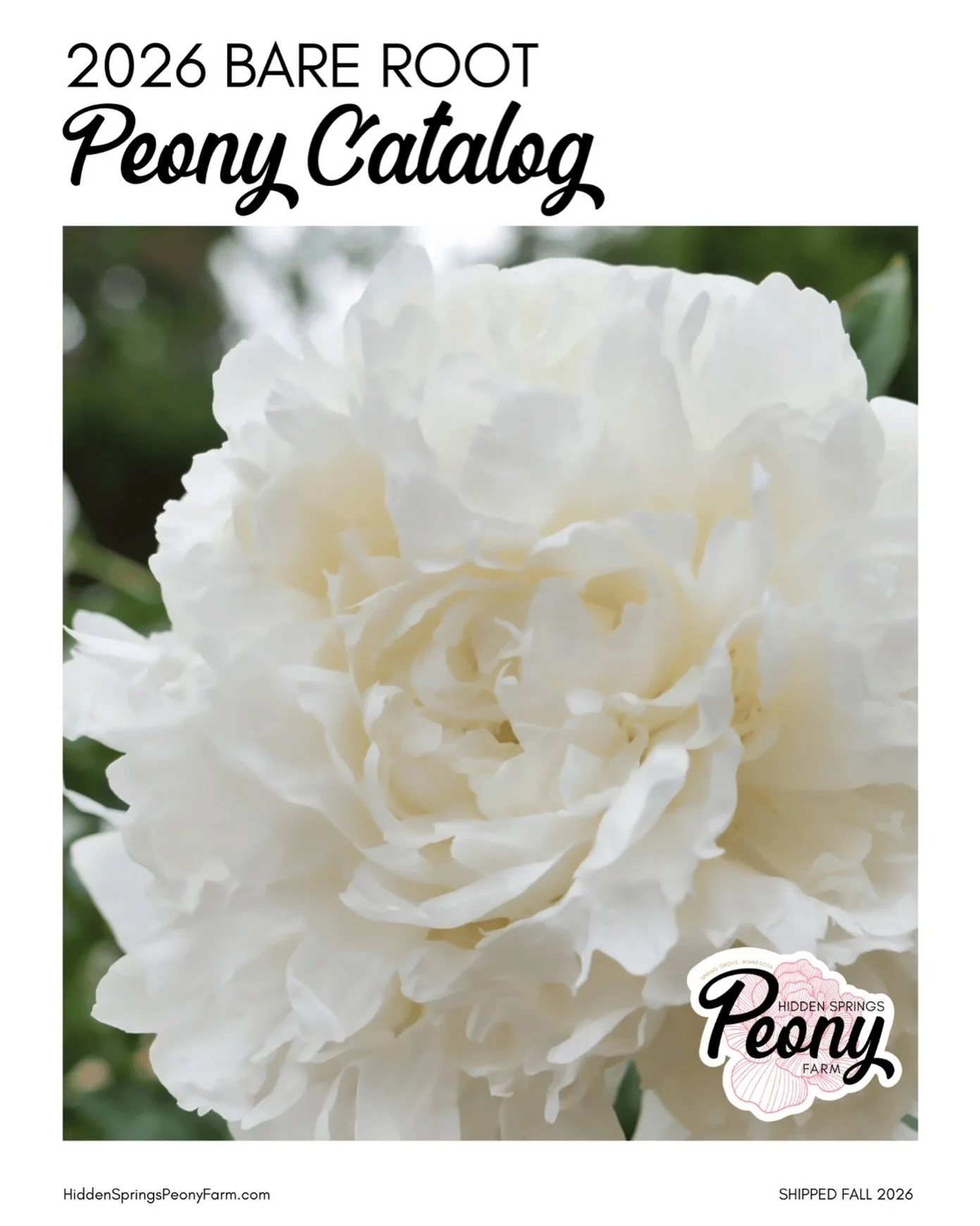 Download the 2026 Bare Root Catalog now at HiddenSpringsPeonyFarm.com/catalog