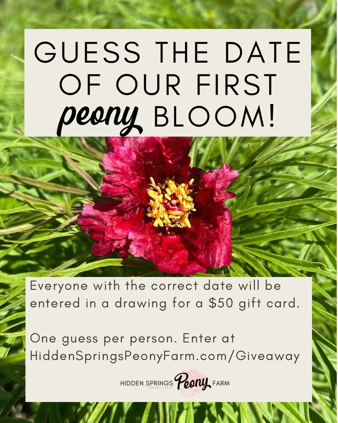 We are just about a month our from our first peony blooms here on the farm. Some varieties are up several inches and so many others haven&rsquo;t even peaked out of the ground yet! Variety makes such a difference.

Let&rsquo;s have some fun again thi