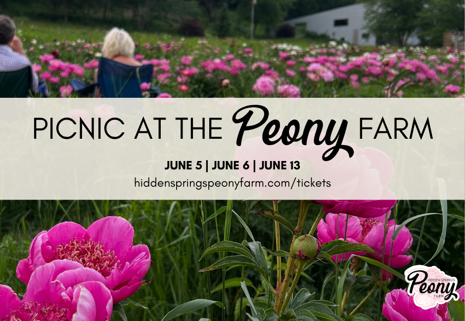 Picnic at the Peony Farm