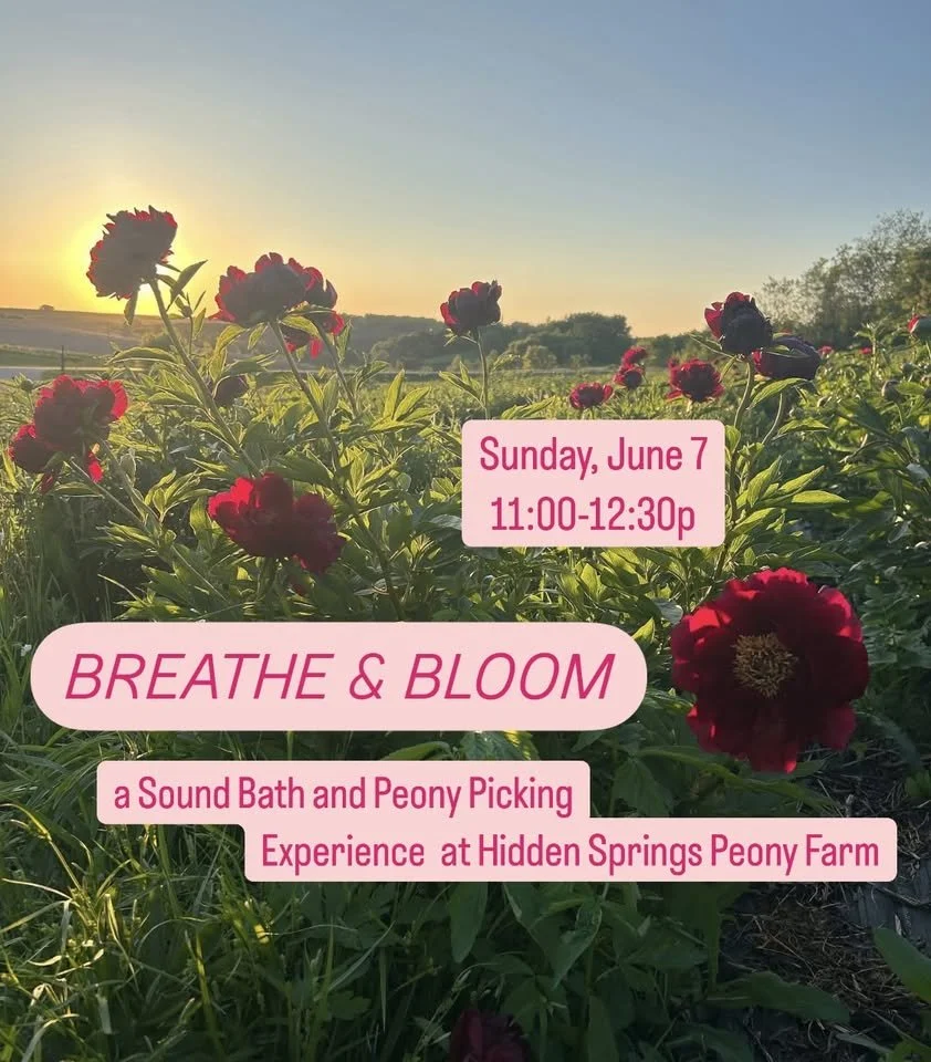 Breathe and Bloom
