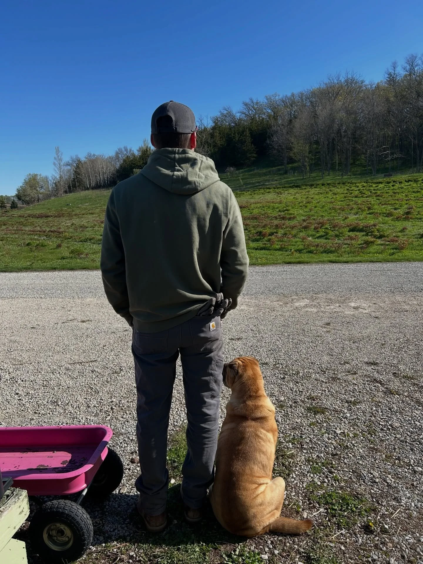 Just a guy and the dog he pretends he doesn&rsquo;t like&hellip;