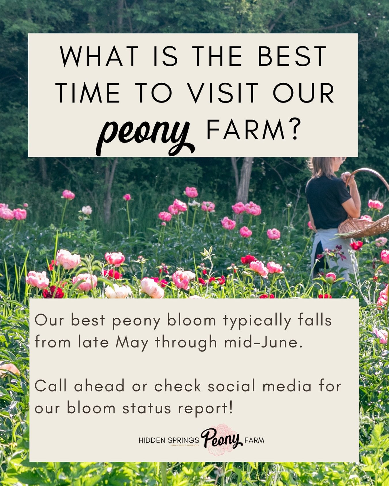 Getting a lot of@calls on this these days&hellip; peak bloom and U-pick is a couple weeks out.

Stay tuned and call/text ahead of time for updates!