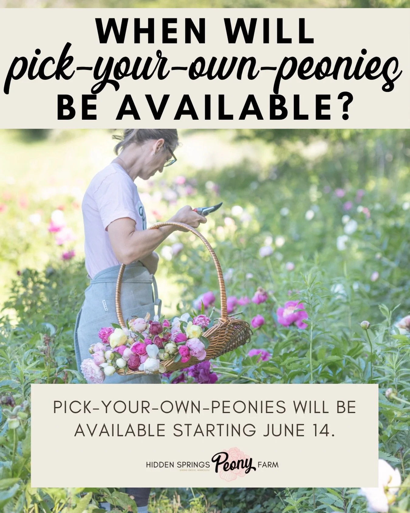 The question of the week!

With a late freeze in May some of our flower buds were damaged and won&rsquo;t open this year. Because of this, our U-Pick won&rsquo;t be open until June 14, after our scheduled events have concluded. 

The plants are other