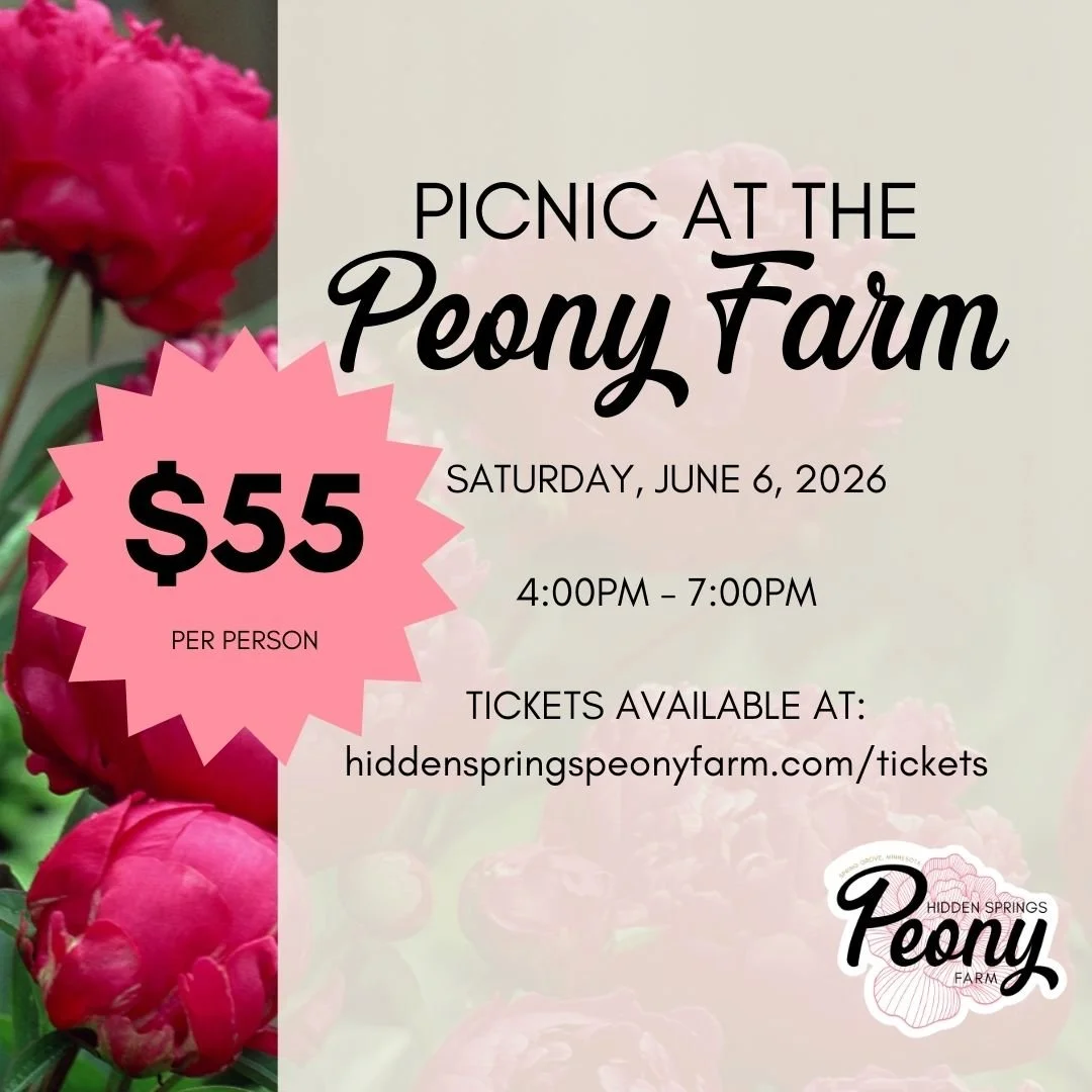 Square Picnic graphics (3).jpg