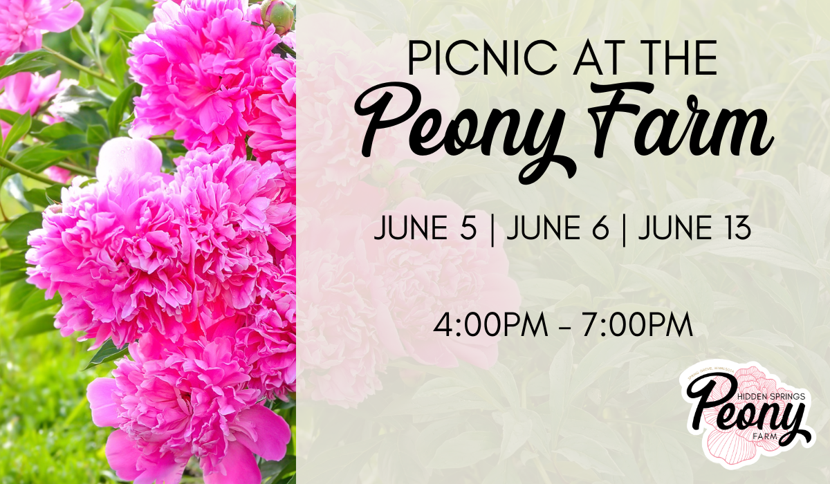 Pink peonies and green foliage with event information for a picnic at the Peony Farm, scheduled for June 5, 6, and 13 from 4 to 7 PM, and the Peony Farm logo at the bottom right.
