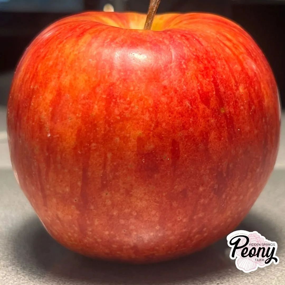 Williams Pride Apple Tree - Bare Root