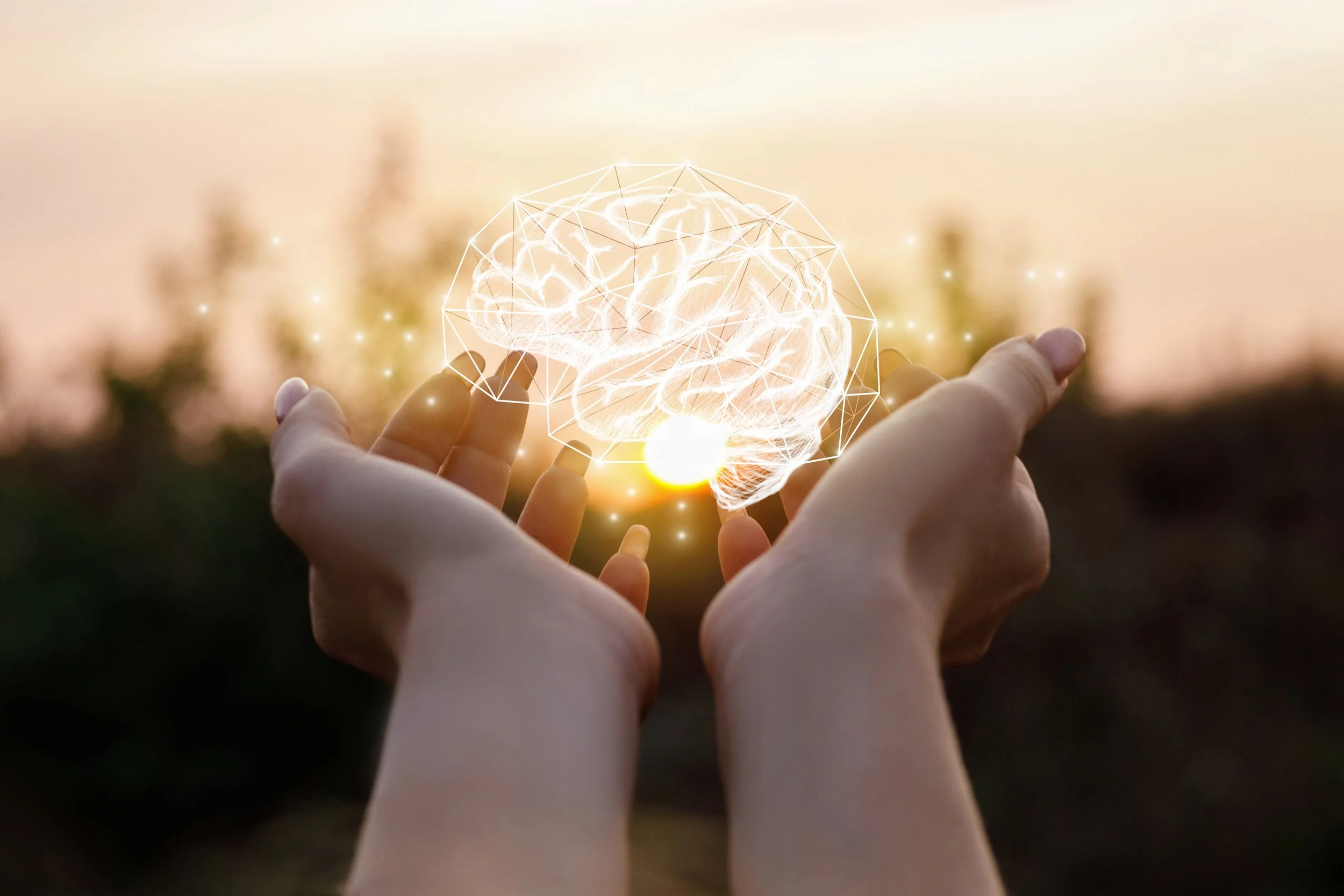 The Key to Success: Understanding How Your Brain Shapes Your Path