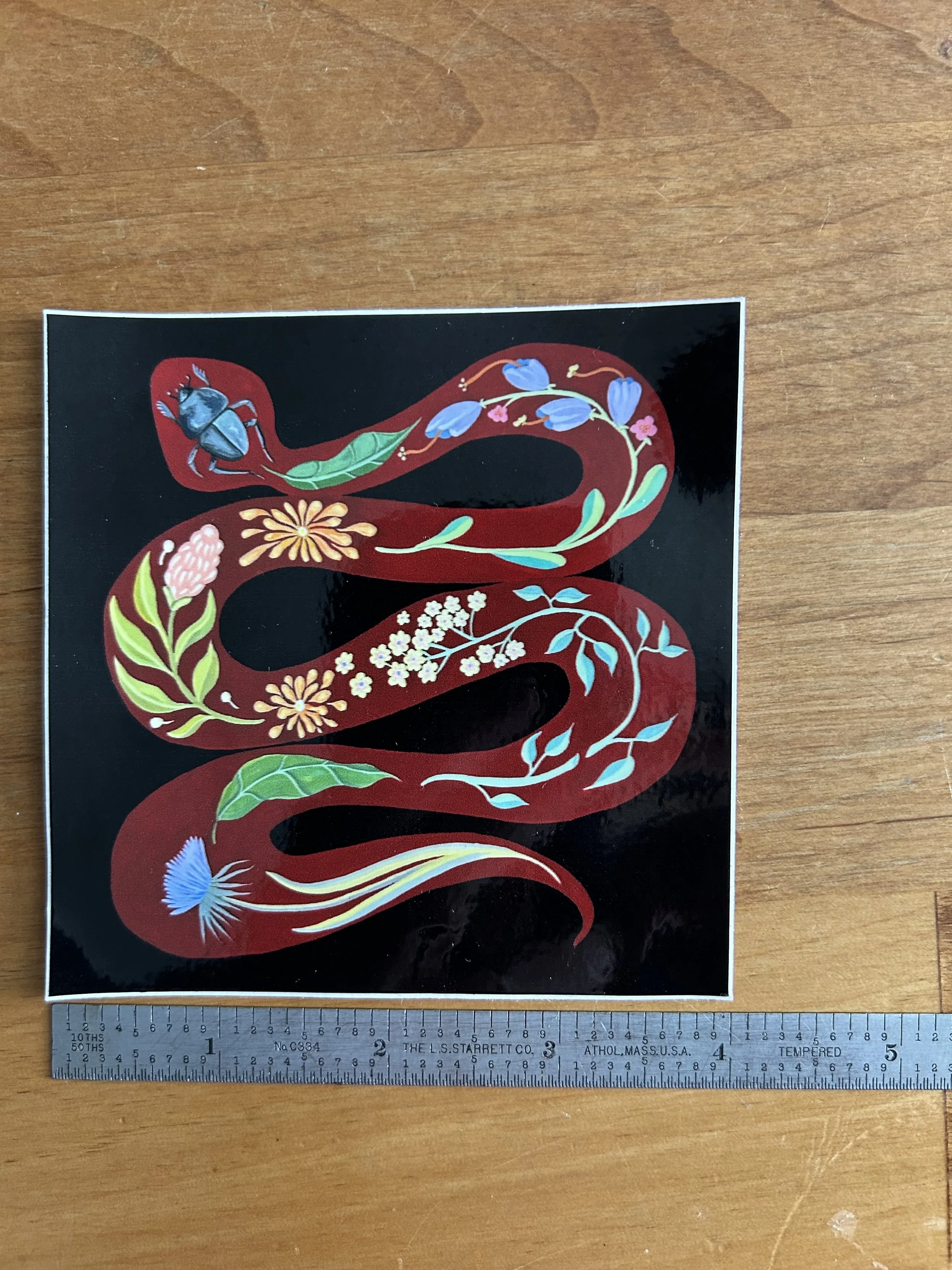 Black Floral Snake 4x4.jpg