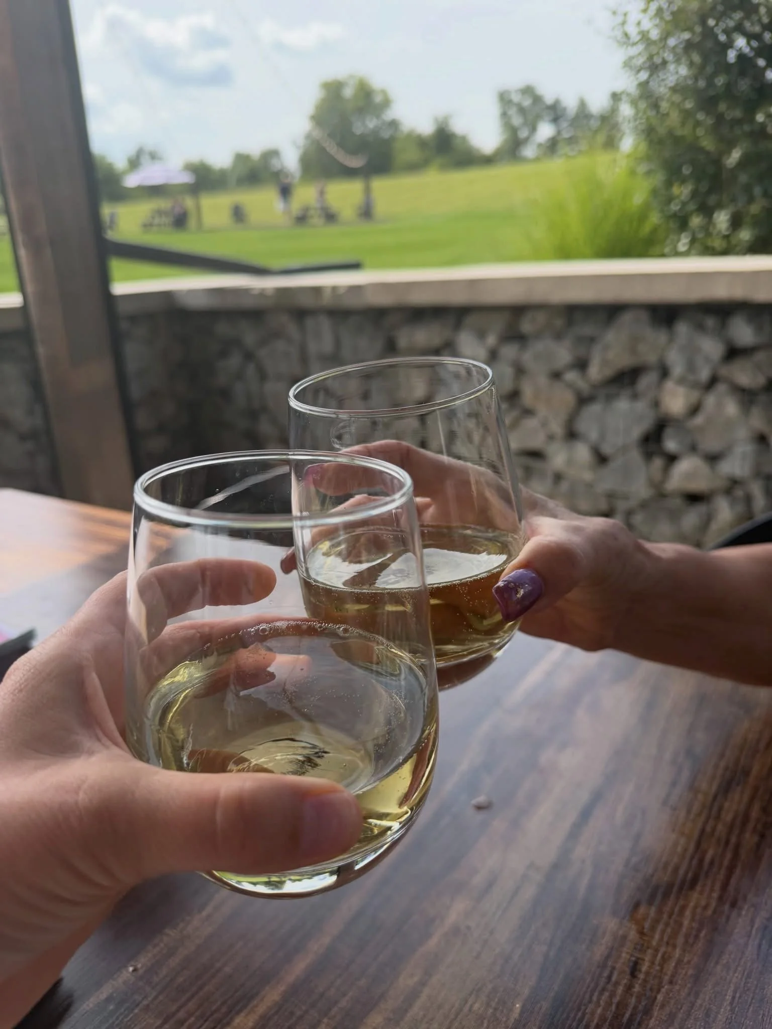 Two people toasting with glasses of white wine indoors with a view of a green park through a large window.