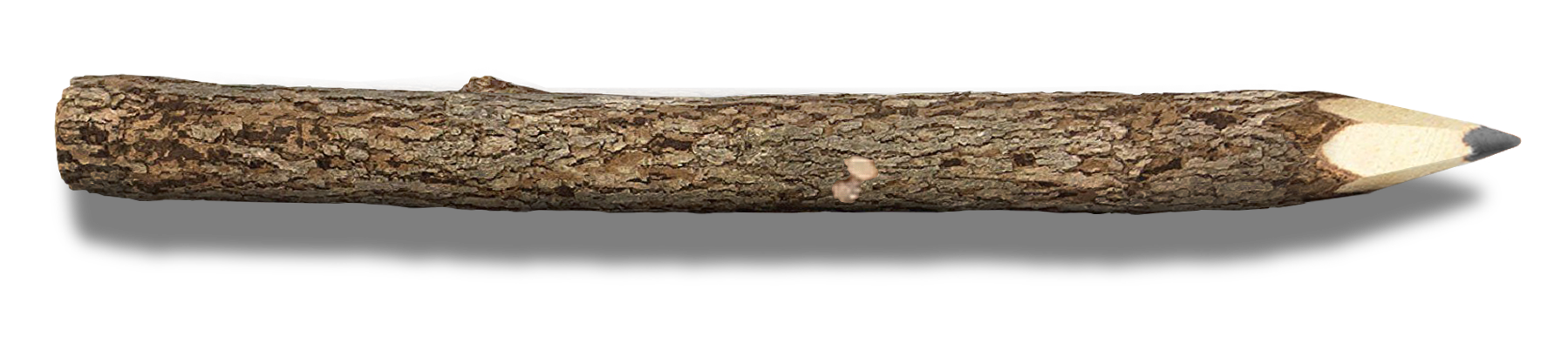 A photo of a pencil made from a wooden stick which still has bark on it. Above is a headline that reads, "Give us a poke."