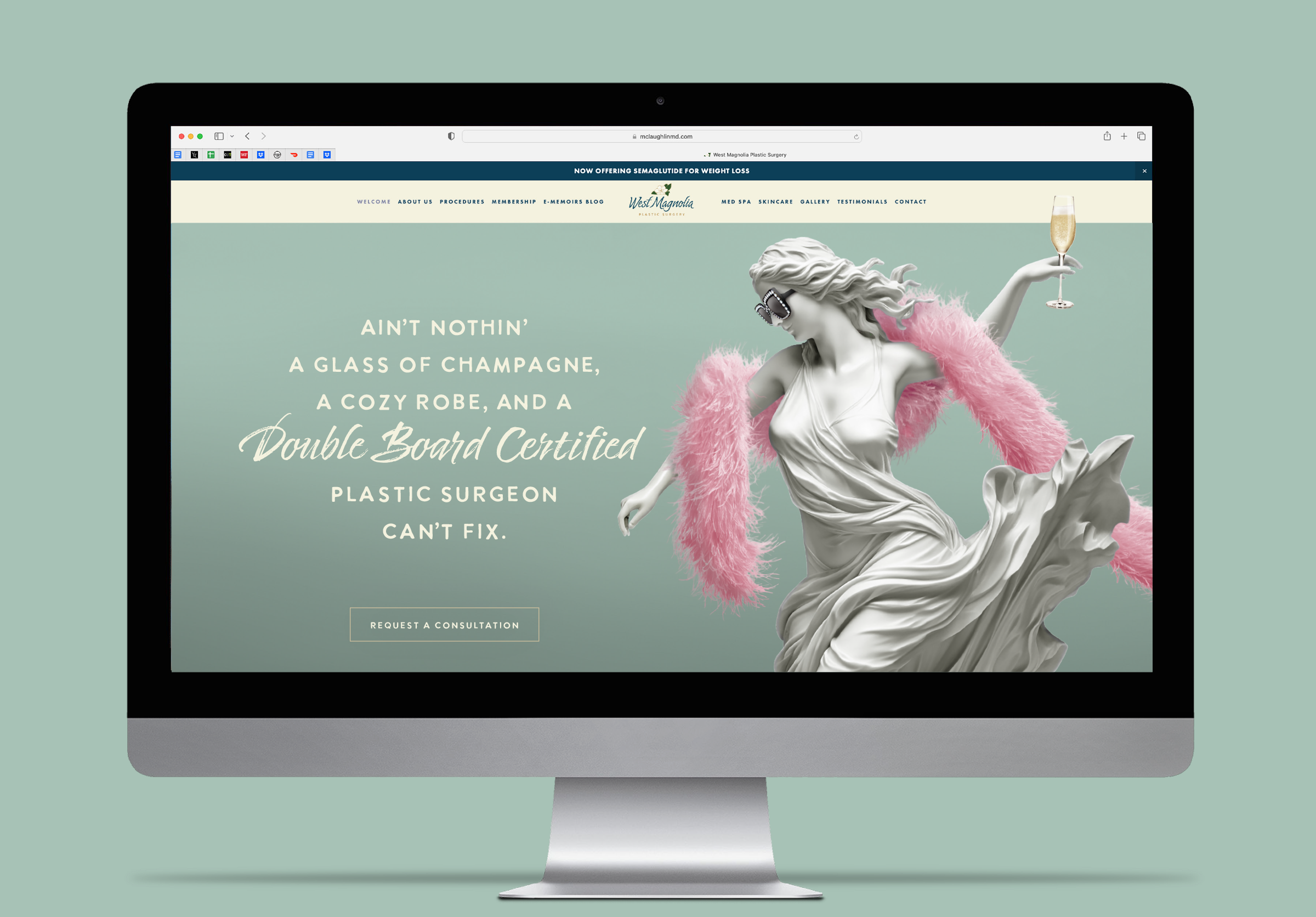 Website home page for West Magnolia Plastic Surgery featuring a marble Greek goddess wearing modern accessories and a headline that reads, "Ain't nothin' a glass of champagne, a cozy robe, and a Double Board Certified Plastic Surgeon can't fix.."