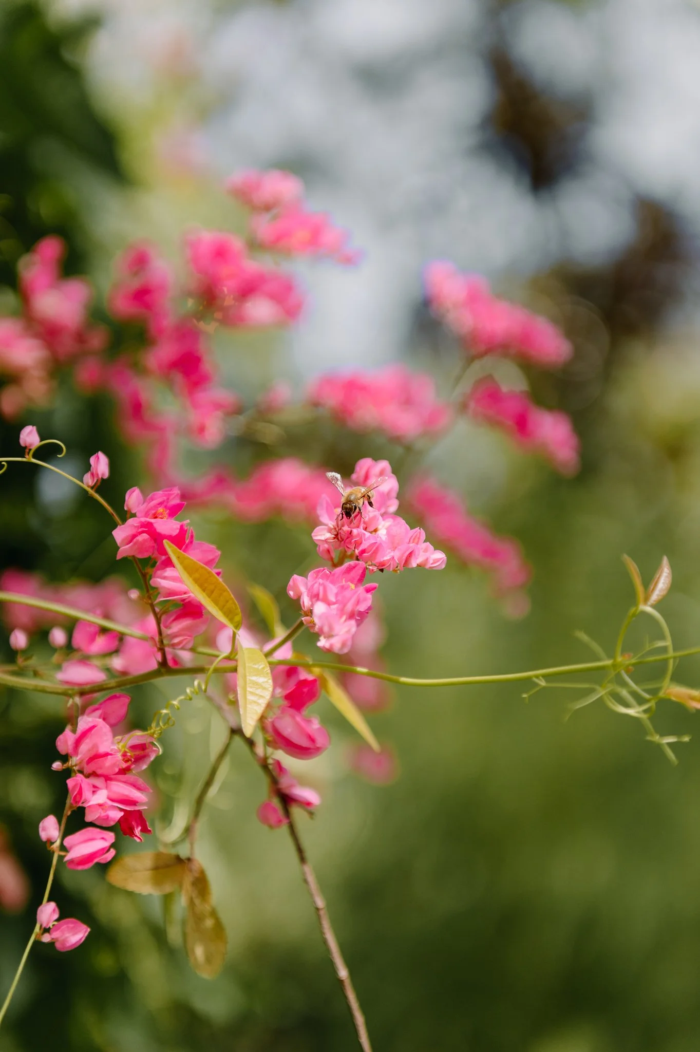 DSC_3413-2.jpg