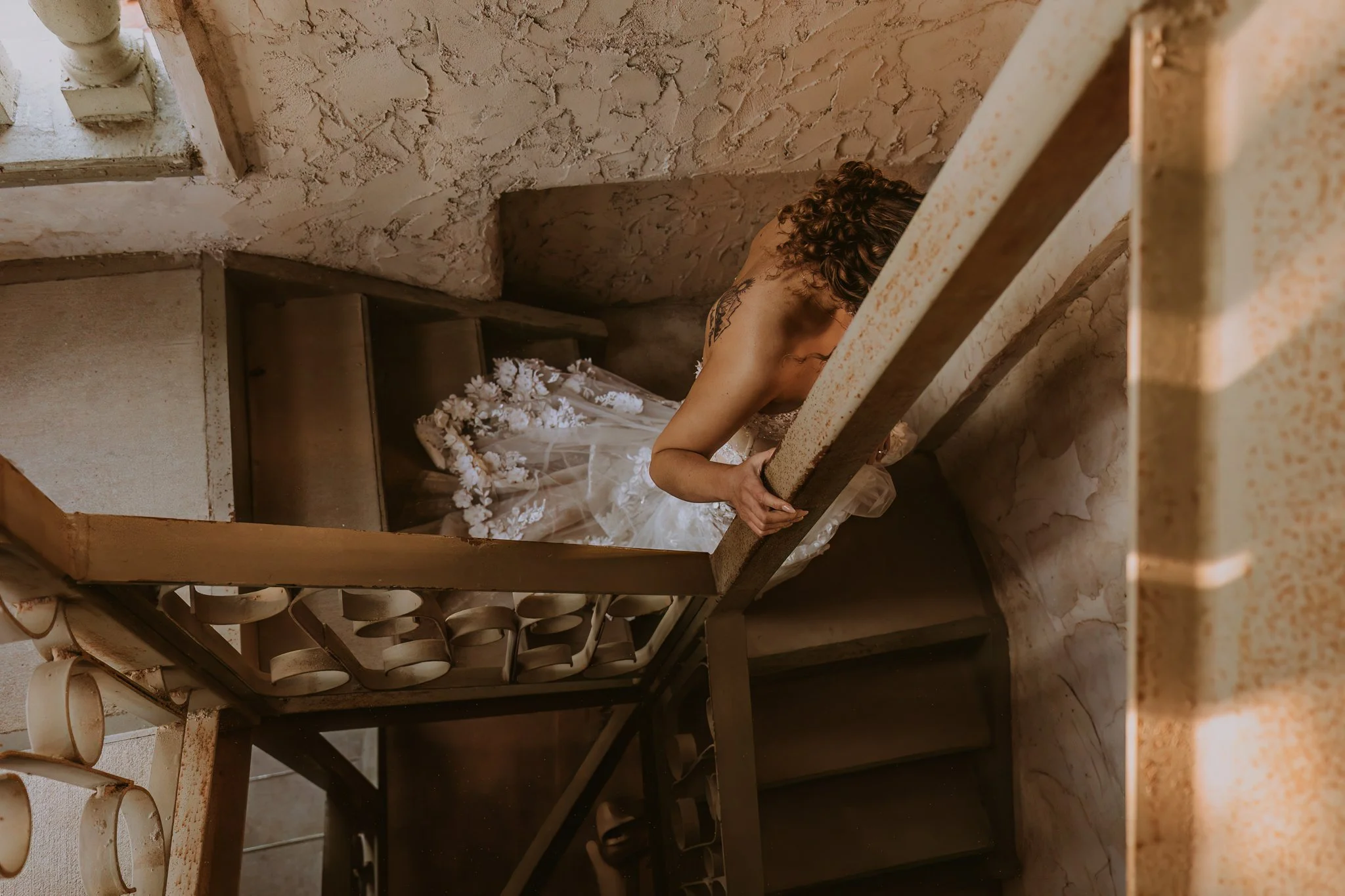 MK206643.jpg