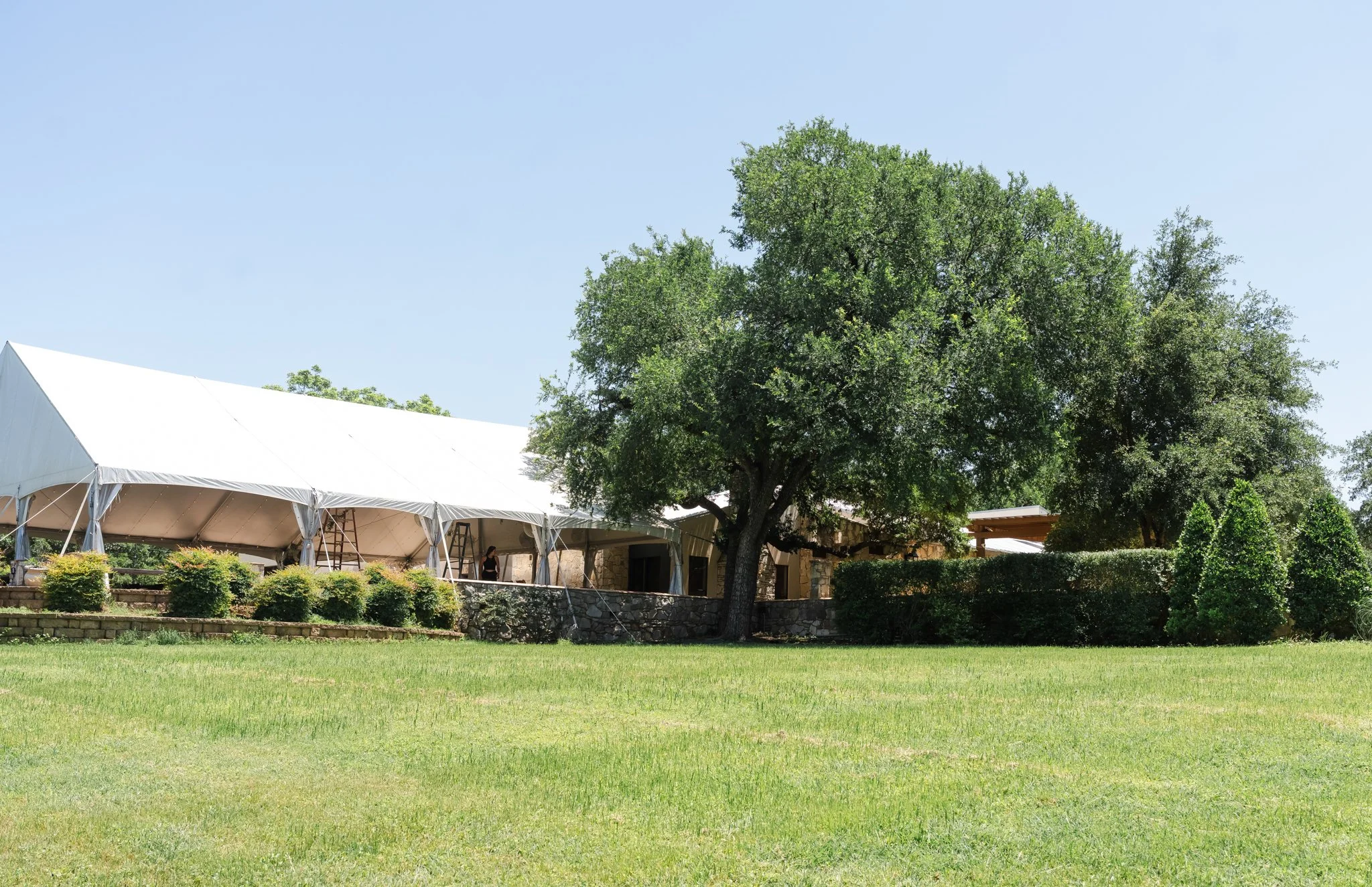 MKY04737.jpg