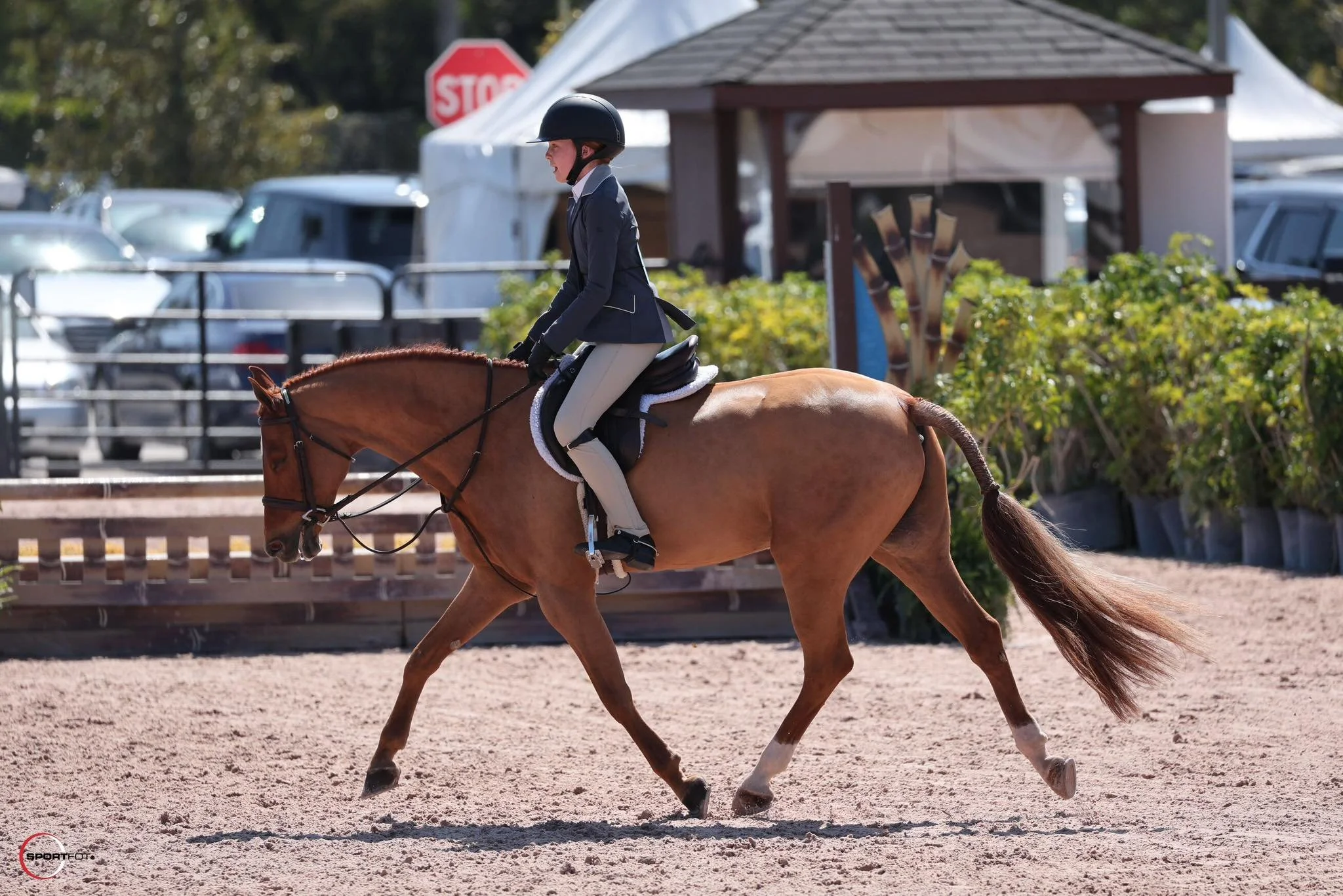 487229463_10105049300188755_7710725522189815257_n.jpg