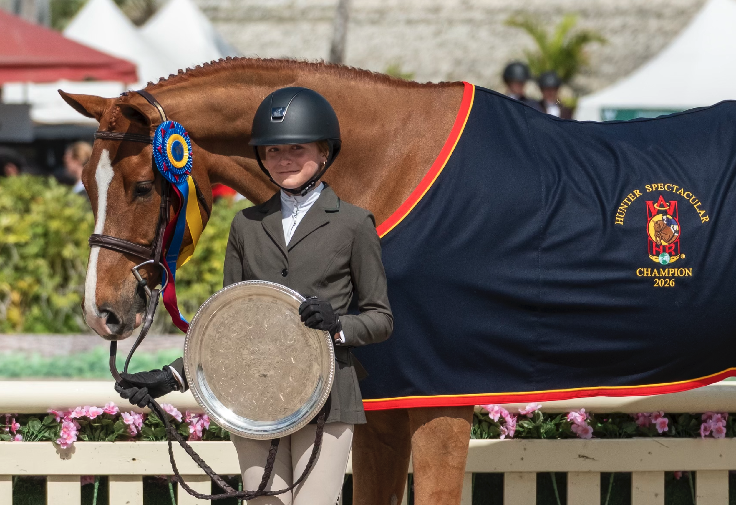 Winter Fun in Wellington