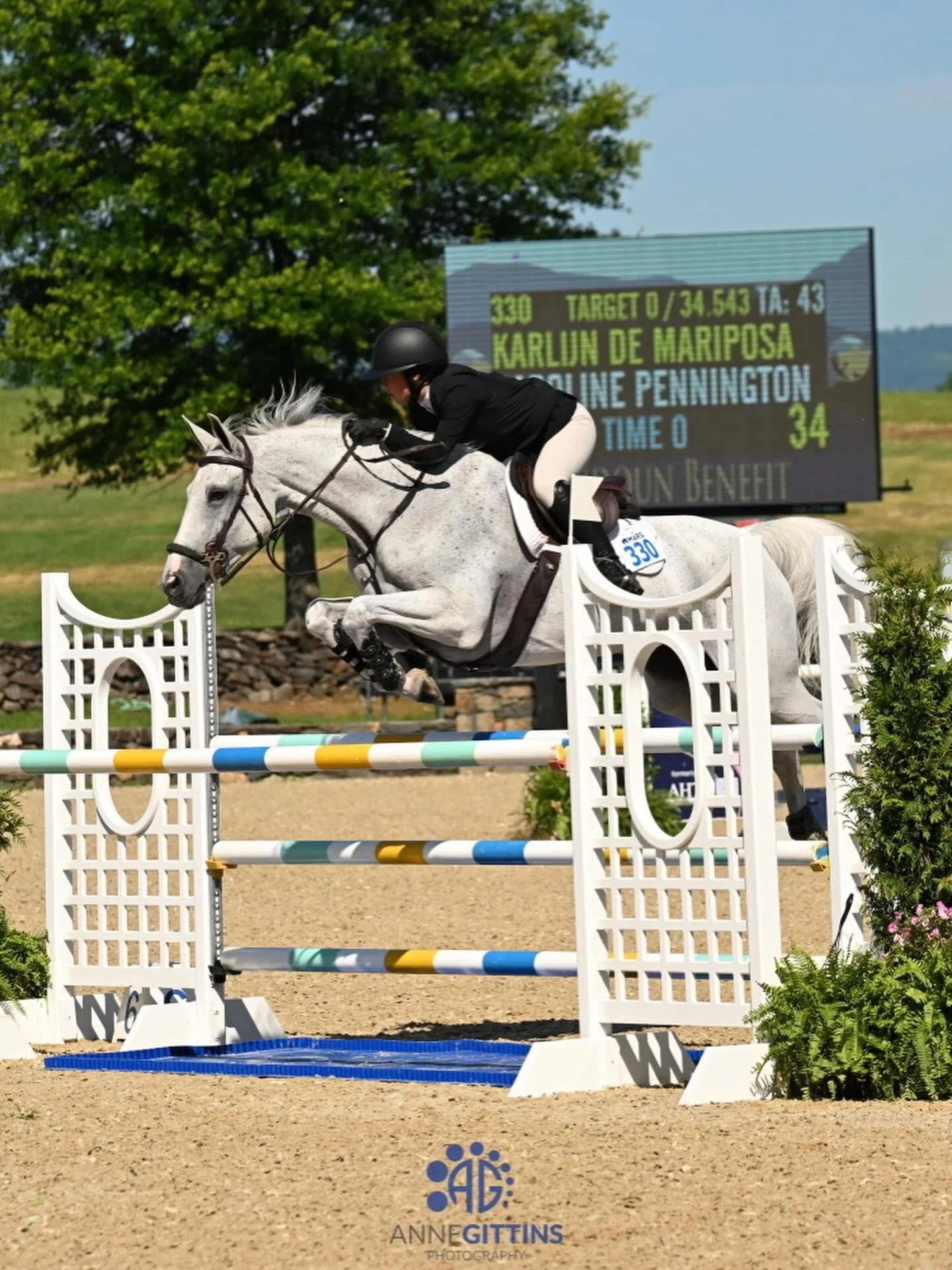 Super Times at Upperville and Loudoun