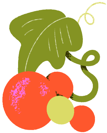 Illustrated grapes, leaf and vines