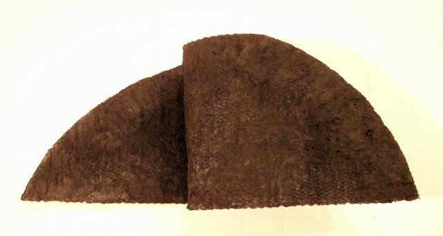 PICT0099.JPG