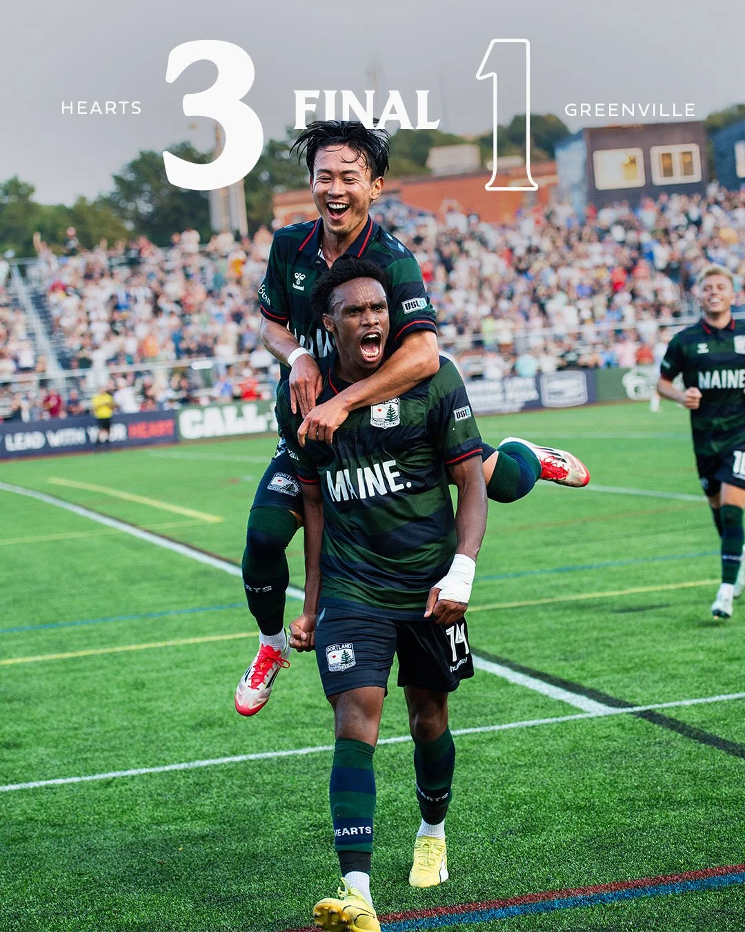 ___sashArtboard 1.jpg