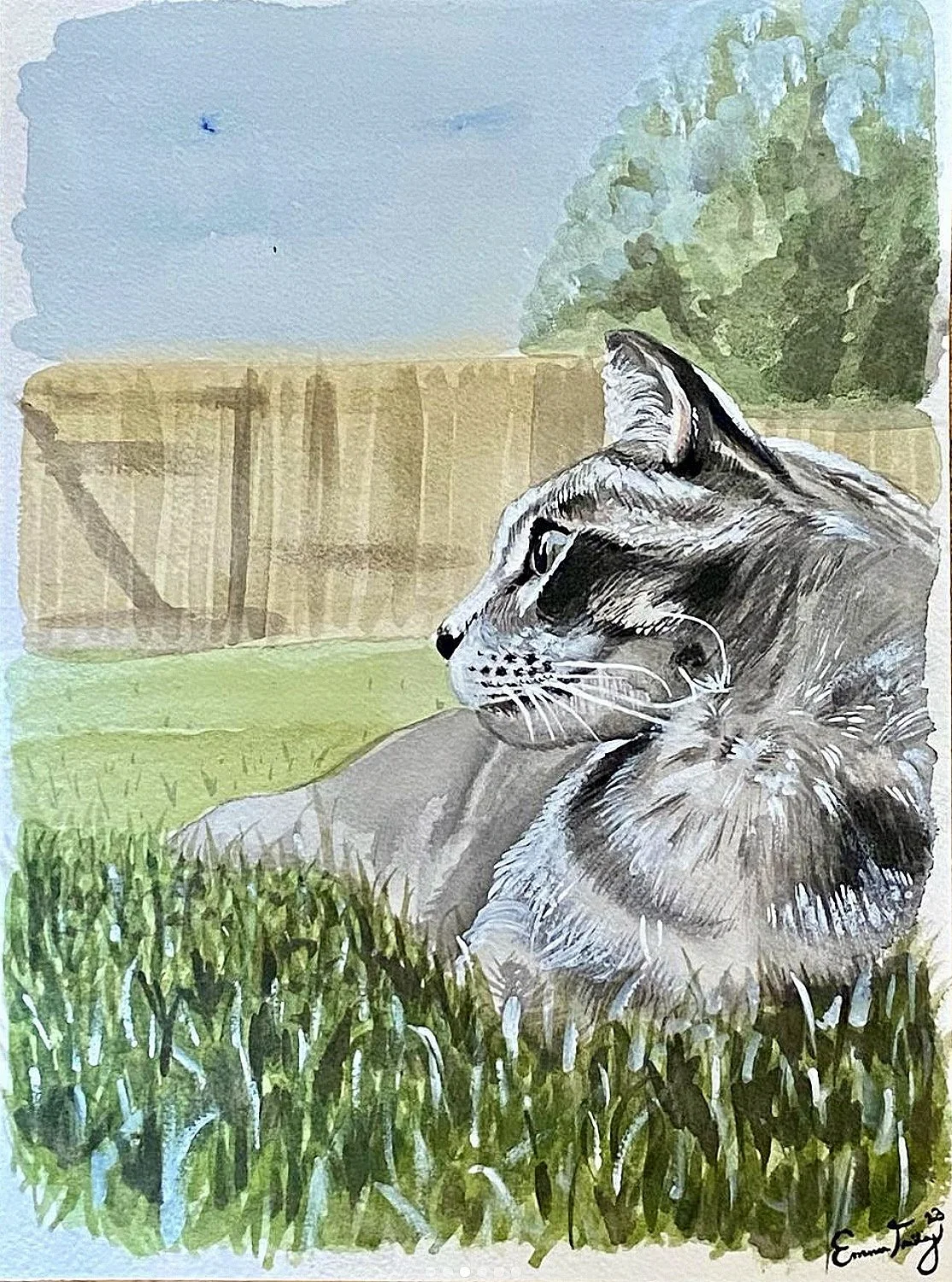 Screenshot 2024-11-05 at 1.58.40 AM.jpg