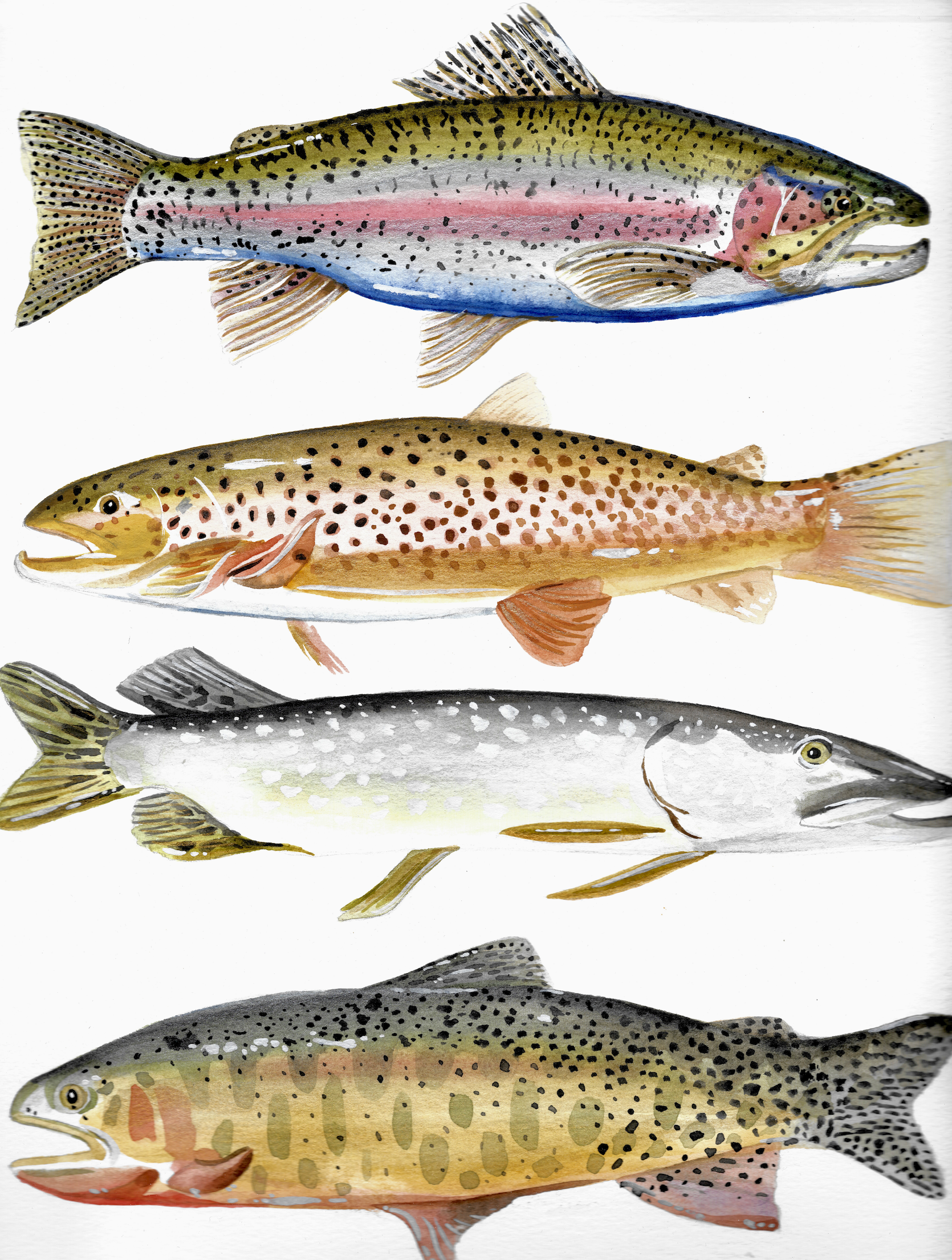 Screenshot 2026-01-07 at 5.39.57 PM.png