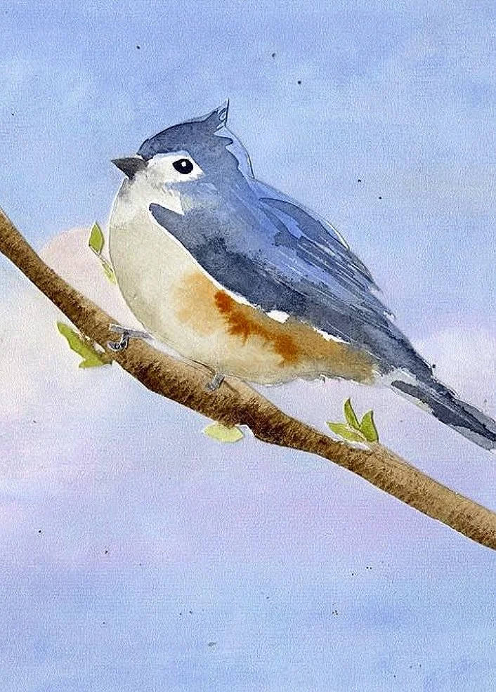 Screenshot 2024-11-05 at 2.05.18 AM.jpg