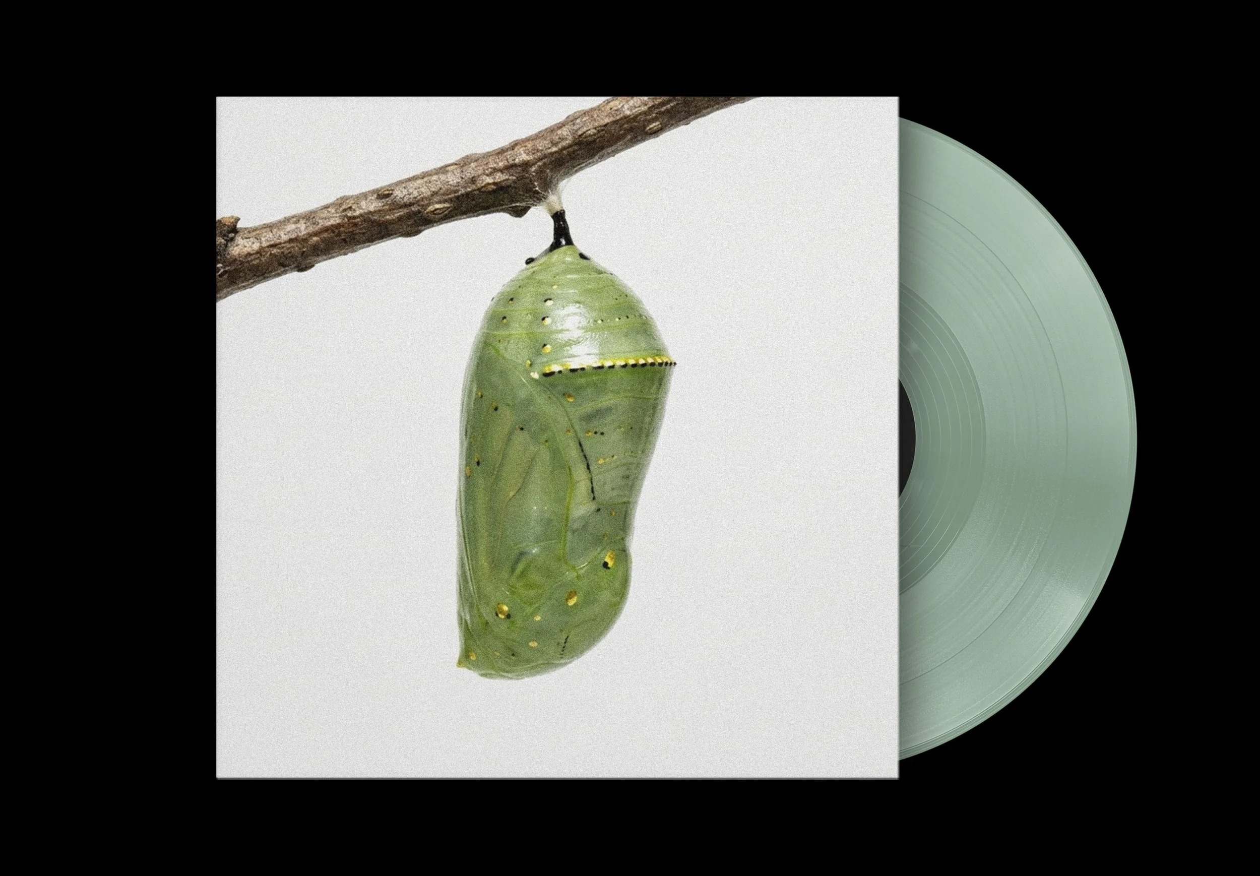 TEOFAP_Vinyl1_view2.jpg