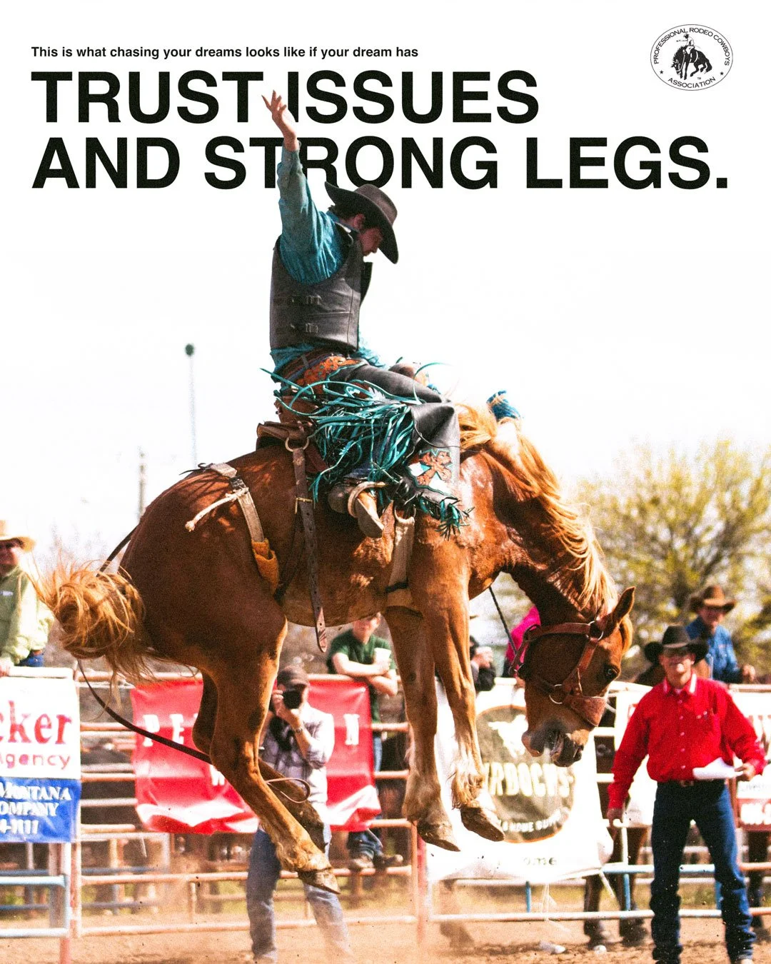 stronglegs.jpg