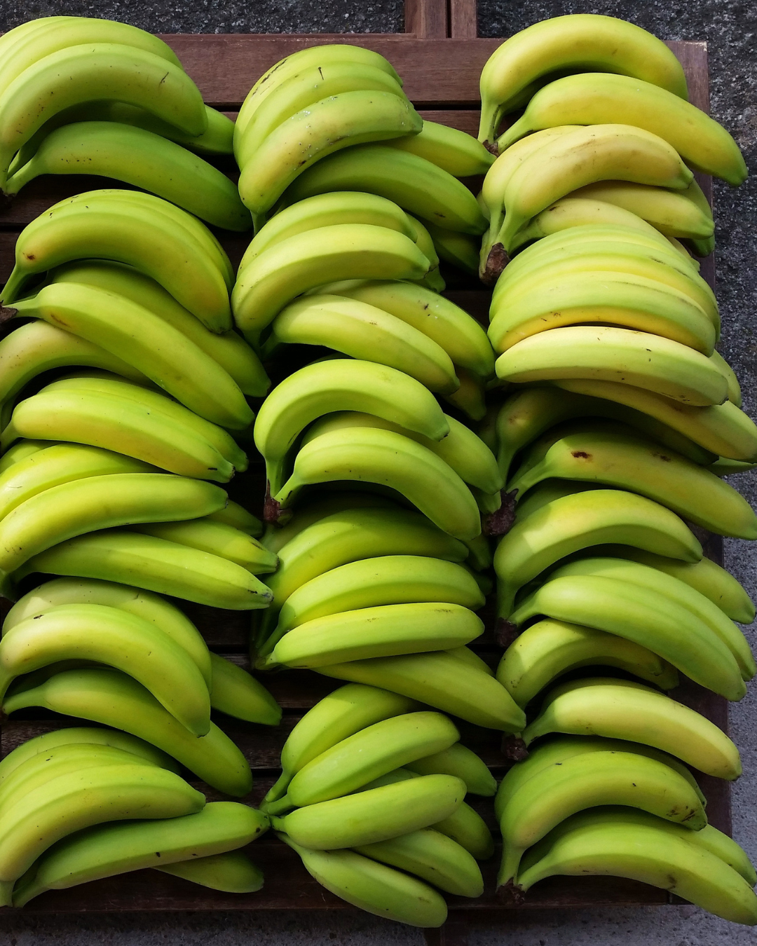 From Arroz to Yuca: Why We Must Protect Our Ancestral Foodways