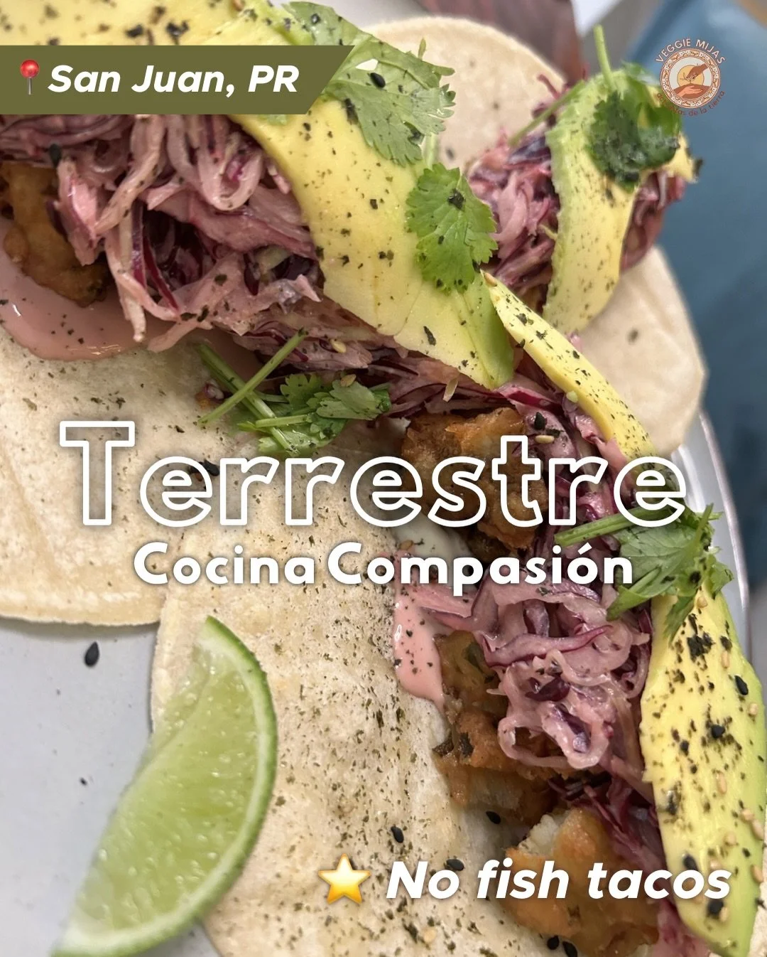 🇵🇷 If you&rsquo;re looking for a plant based bite on the island, be sure to check out Terrestre Cocina Compasi&oacute;n ❤️ our ED has had the pleasure of visiting many times and is so inspired by the menu and restaurant&rsquo;s message of honoring 